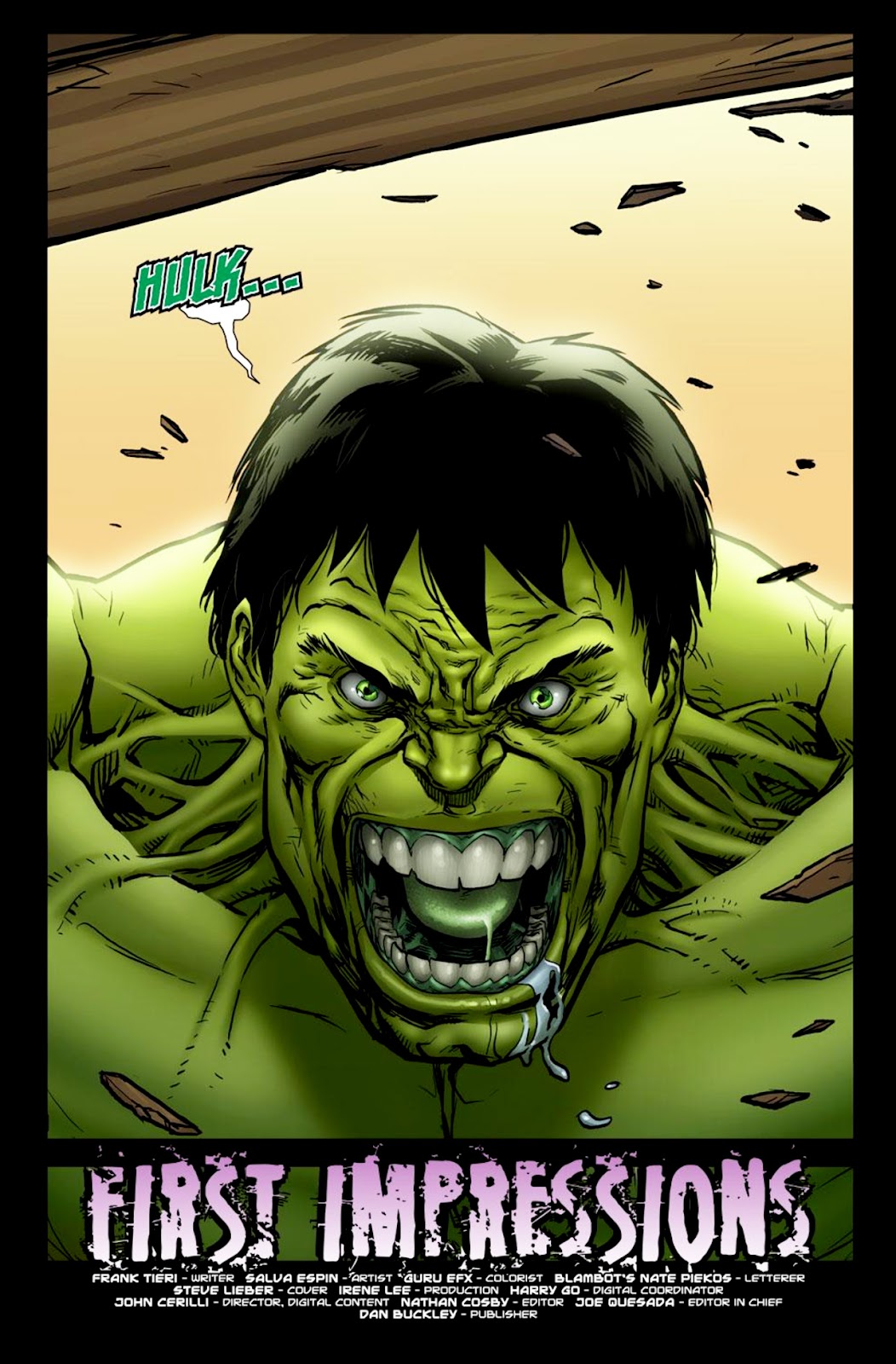 Incredible Hulk: The Fury Files issue 1 - Page 2