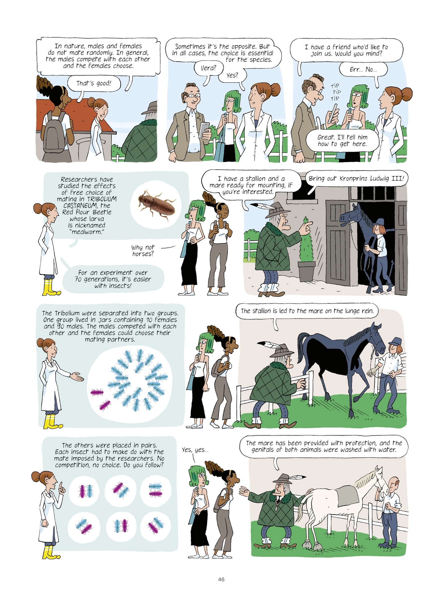 Read online Evolution, Darwin, God, and the Horse-People comic -  Issue # TPB - 45