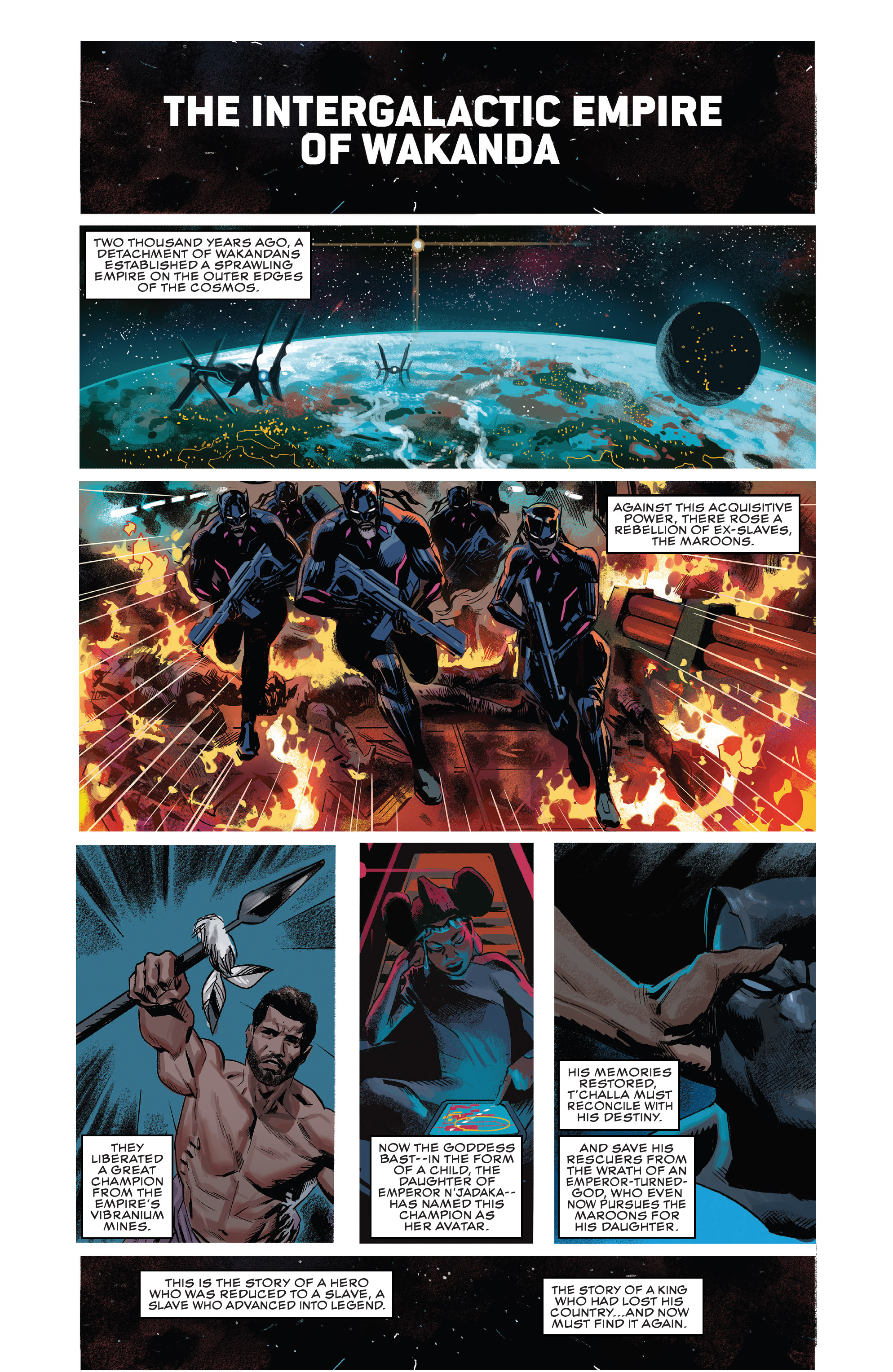 Read online Black Panther (2018) comic -  Issue #14 - 2
