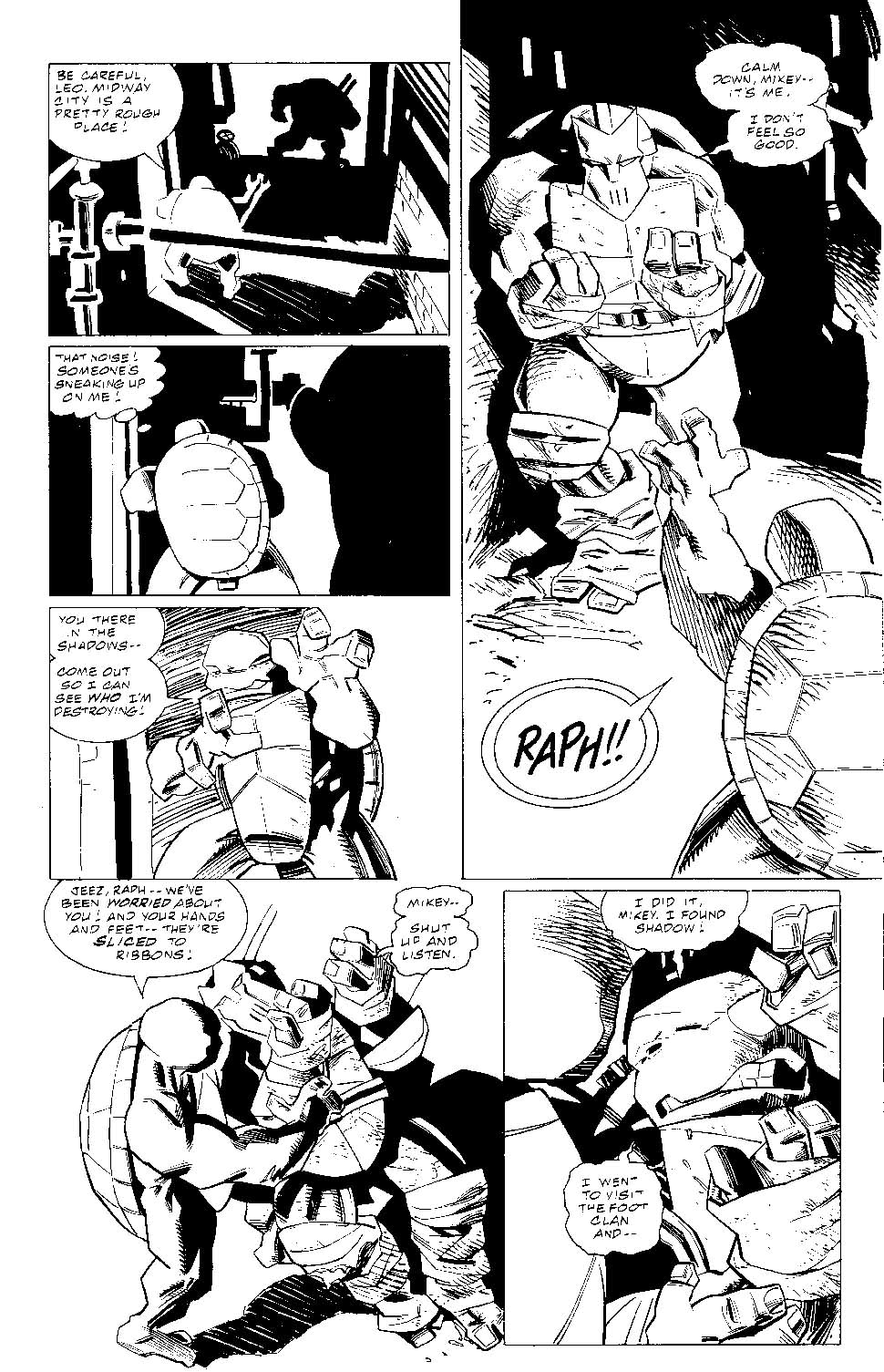 Read online Teenage Mutant Ninja Turtles (1996) comic -  Issue #8 - 13