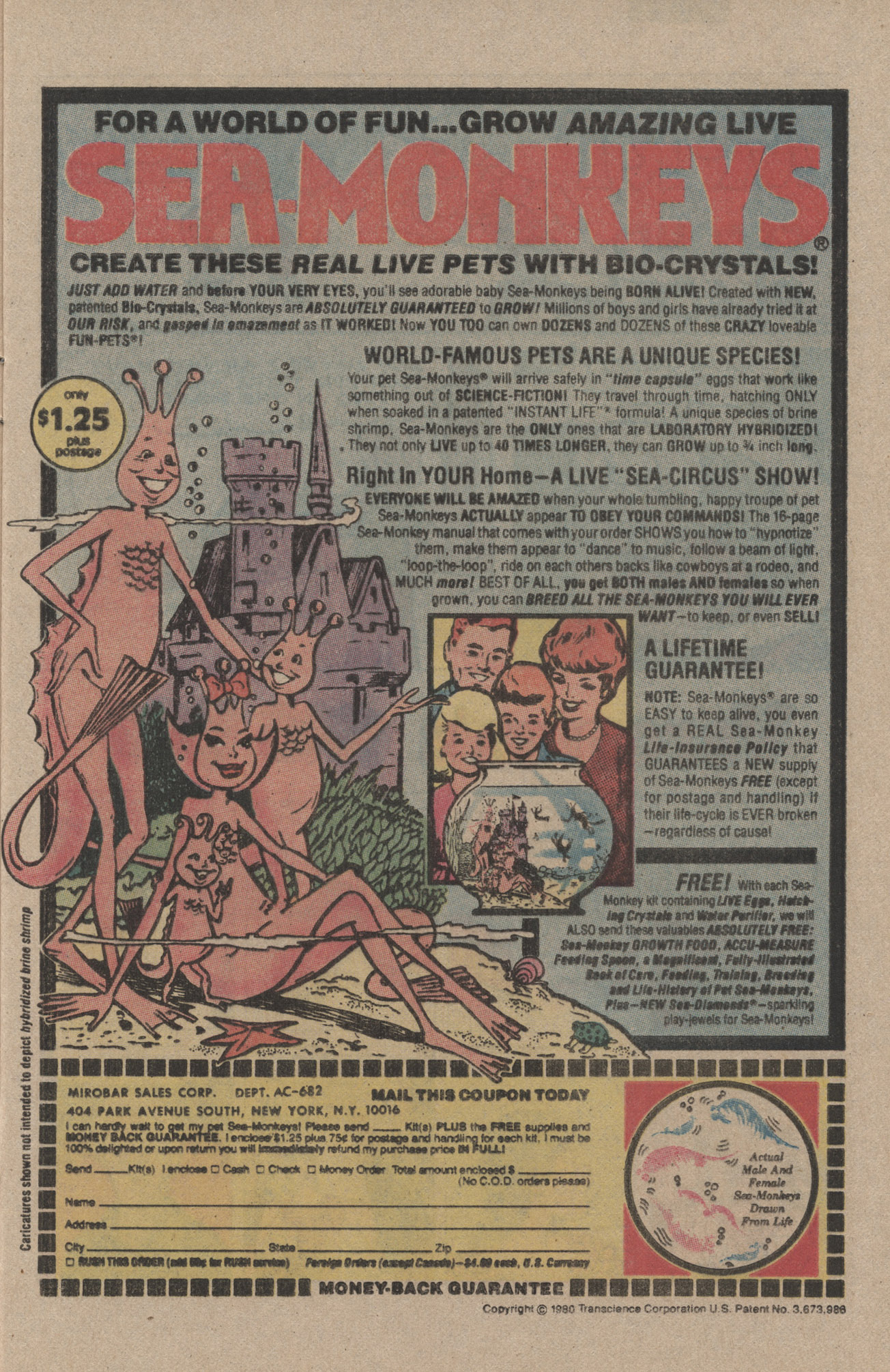 Read online Archie's Joke Book Magazine comic -  Issue #286 - 9