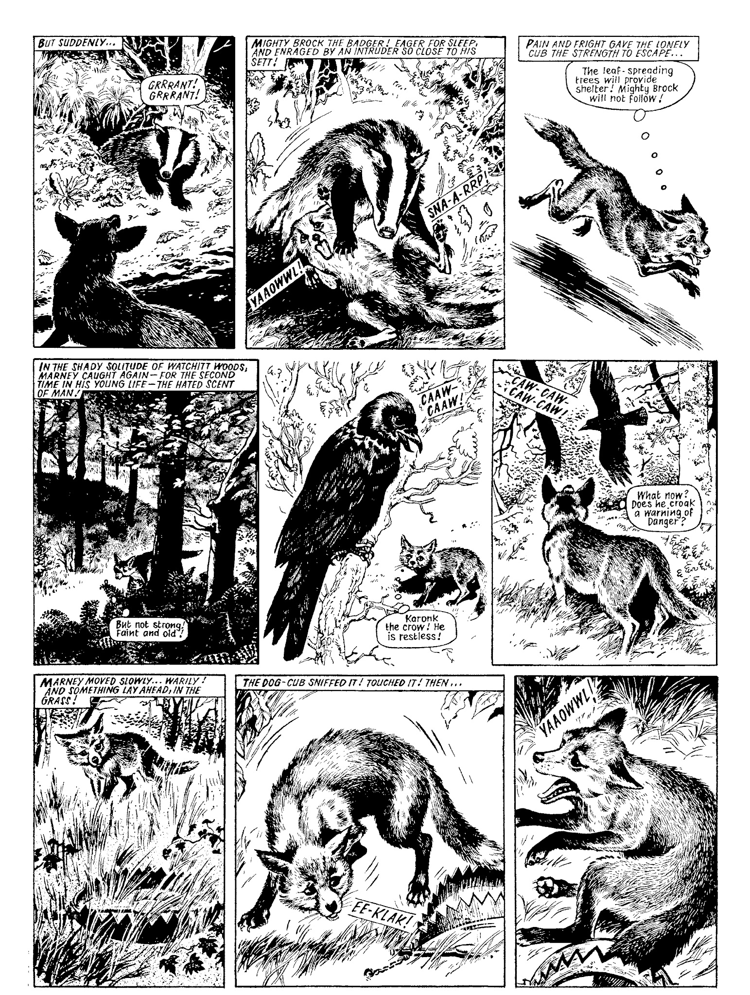 Read online Marney the Fox comic -  Issue # TPB (Part 1) - 8