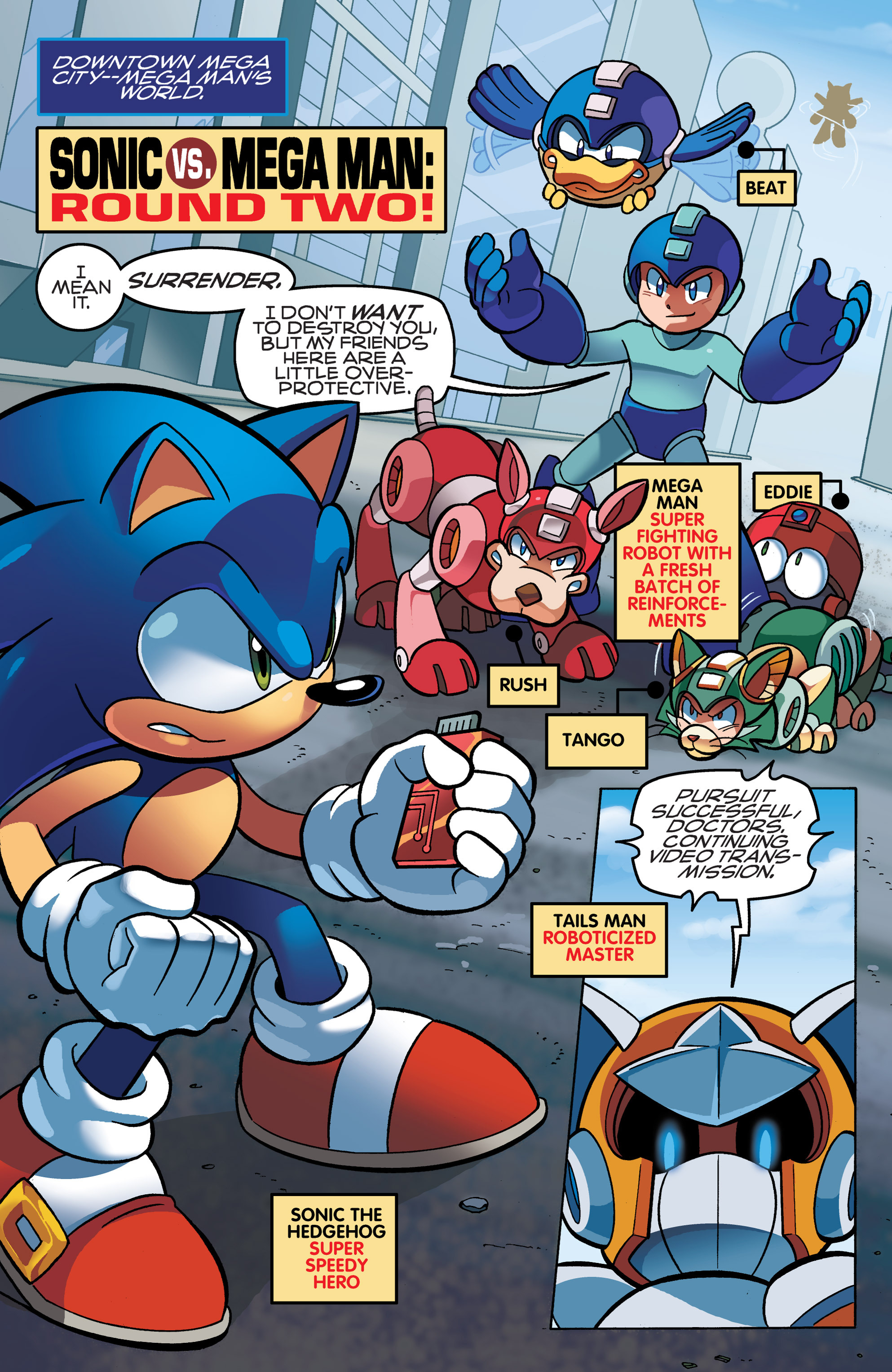 Read online Sonic Mega Man Worlds Collide comic -  Issue # Vol 1 - 90