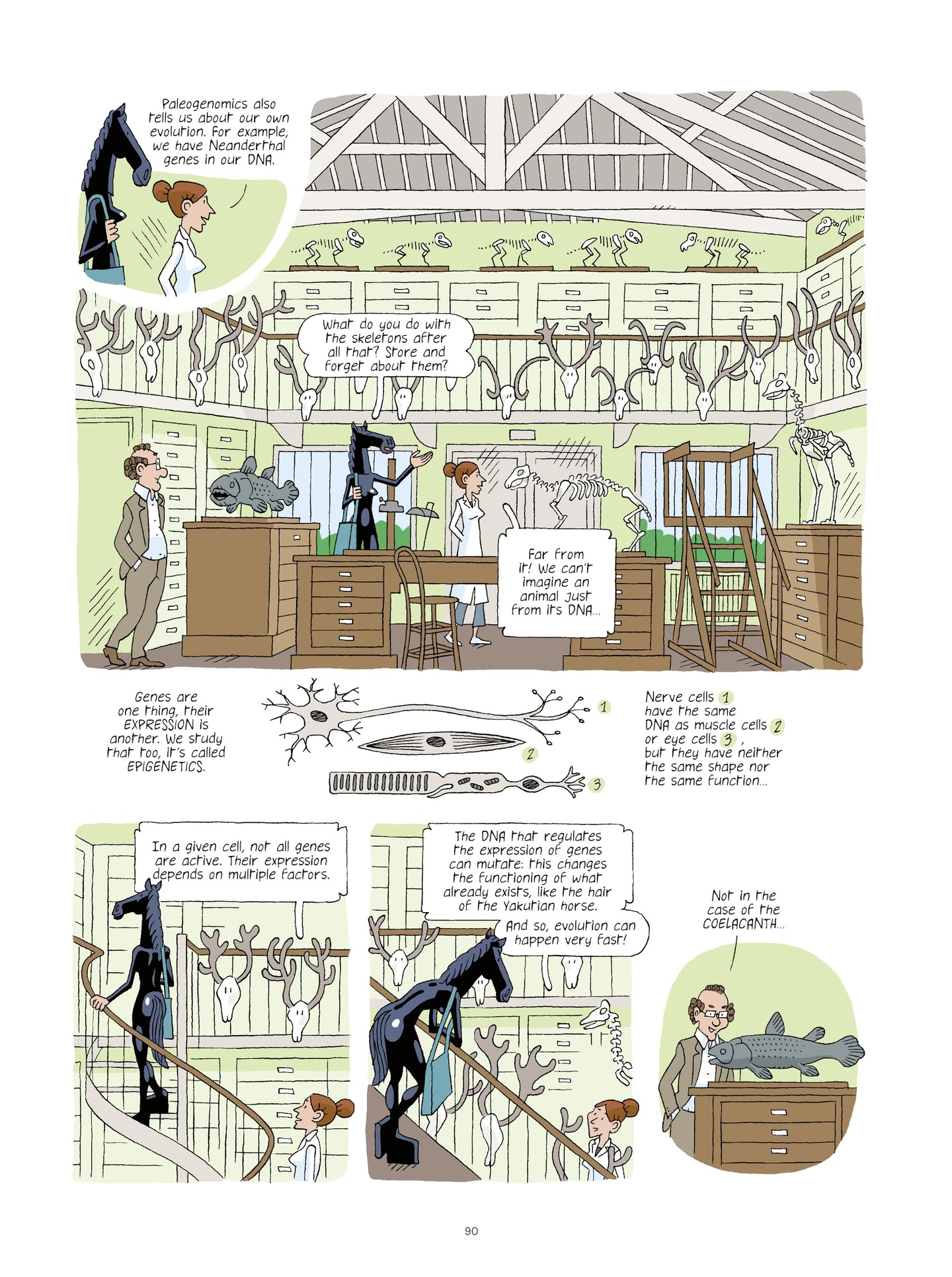 Read online Evolution, Darwin, God, and the Horse-People comic -  Issue # TPB - 89