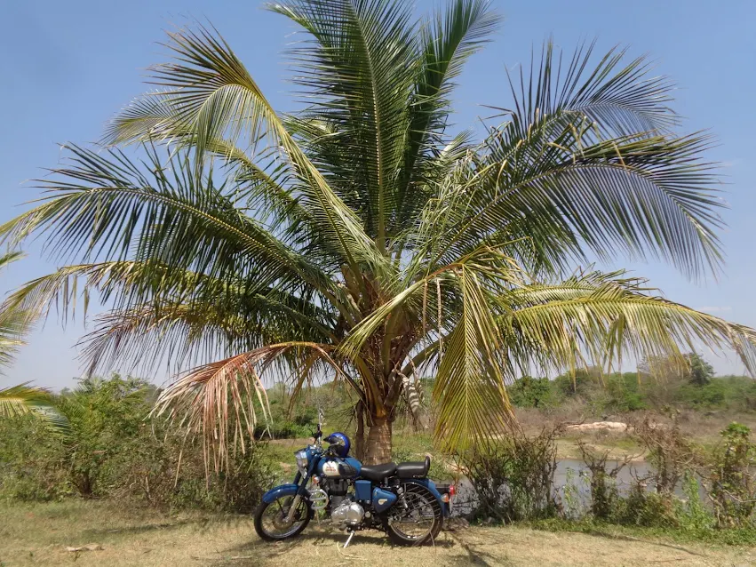 Planning the route to Mahadevapura