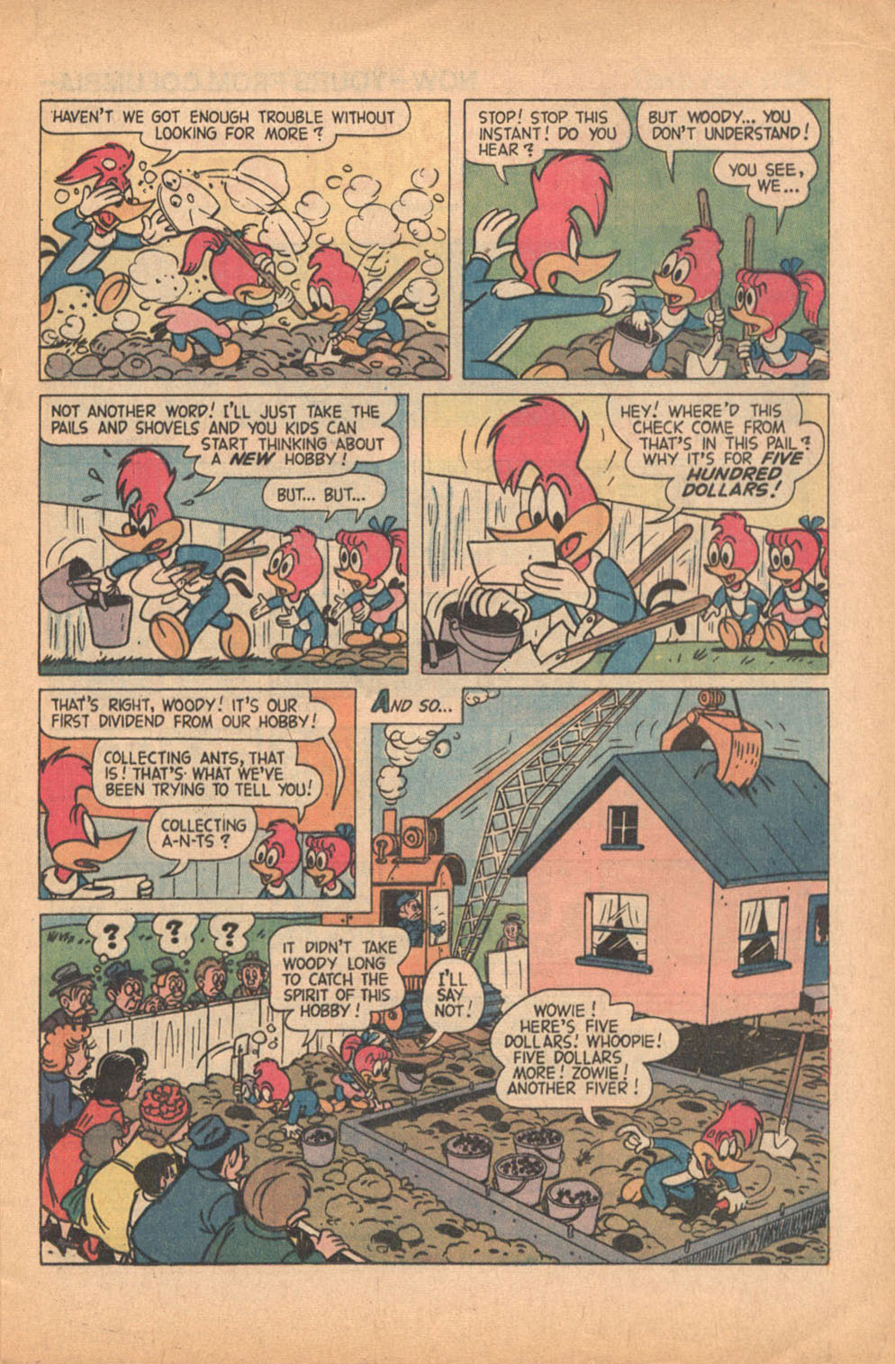 Read online Walter Lantz Woody Woodpecker (1962) comic -  Issue #119 - 17