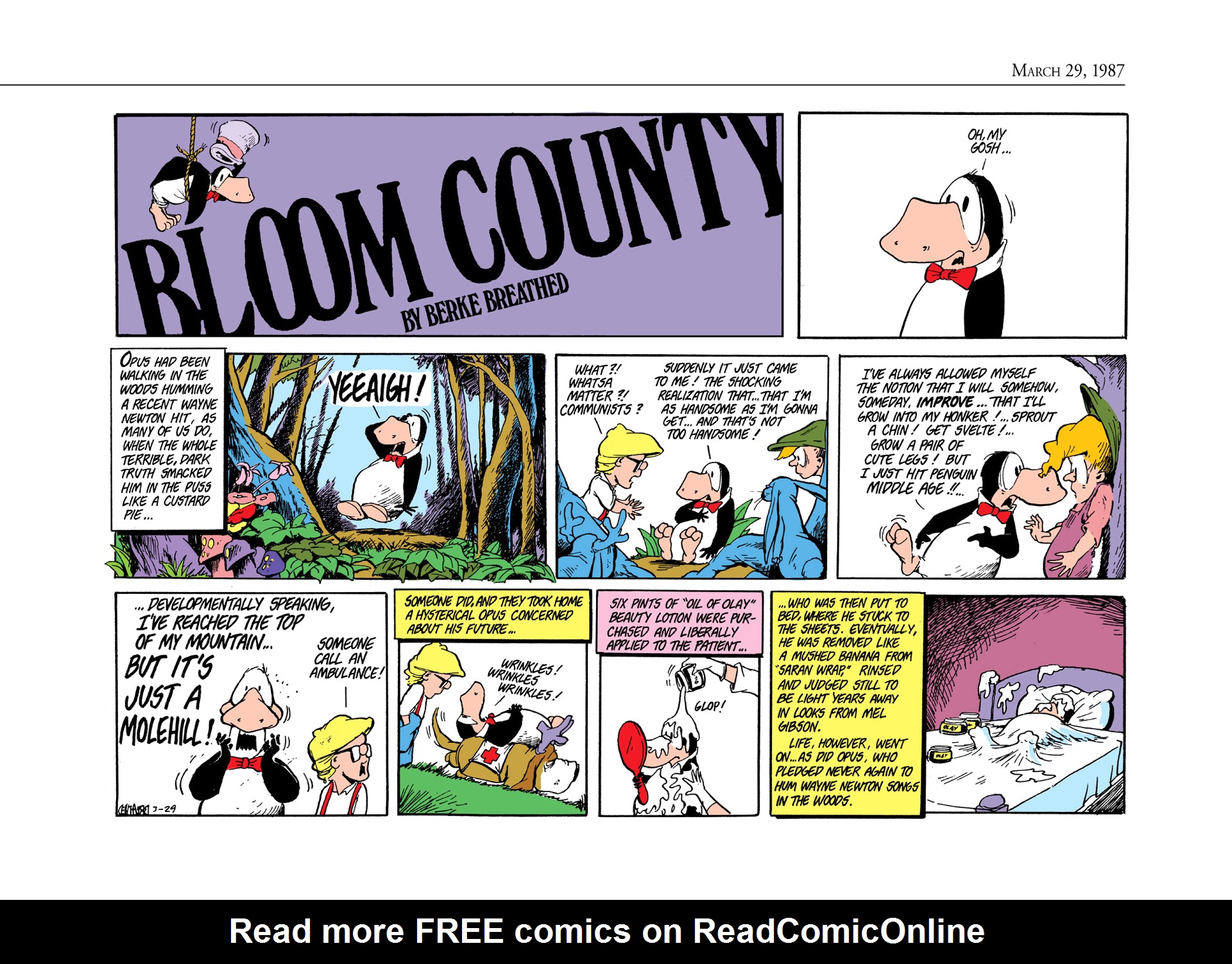 Read online The Bloom County Digital Library comic -  Issue # TPB 7 (Part 1) - 94