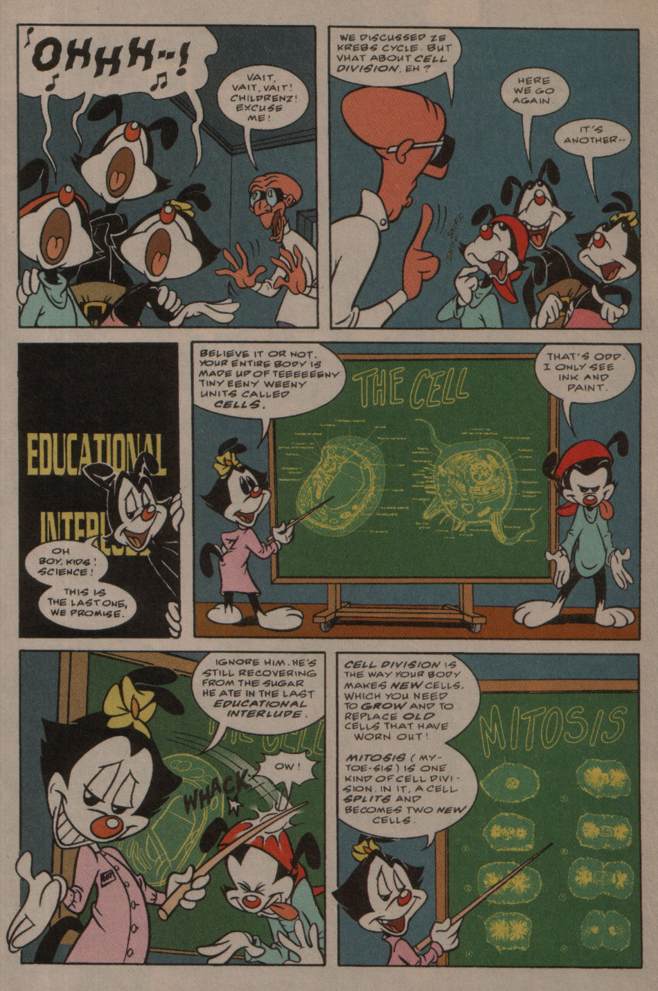 Read online Animaniacs comic -  Issue #28 - 7