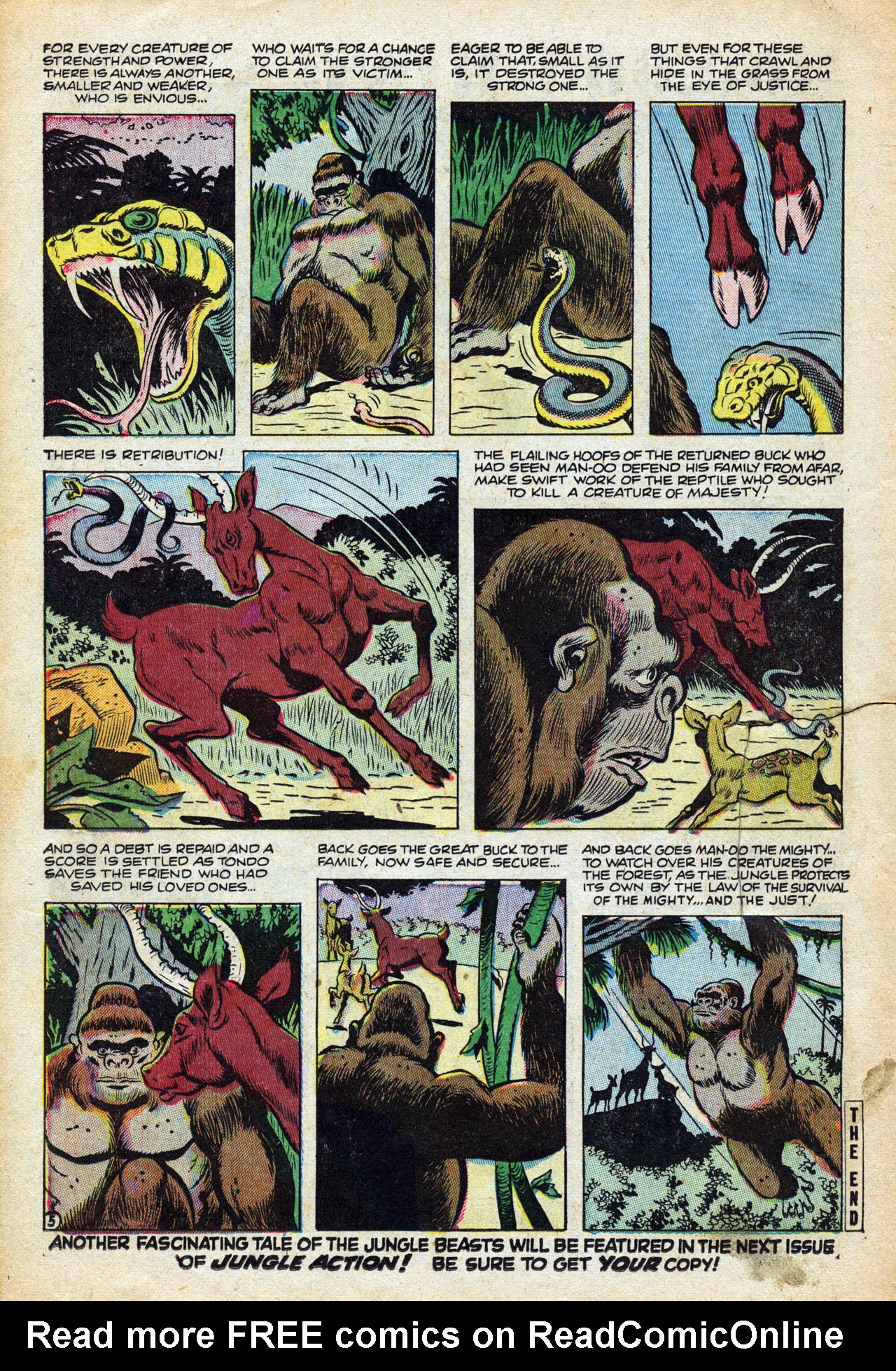 Read online Jungle Action (1954) comic -  Issue #1 - 14