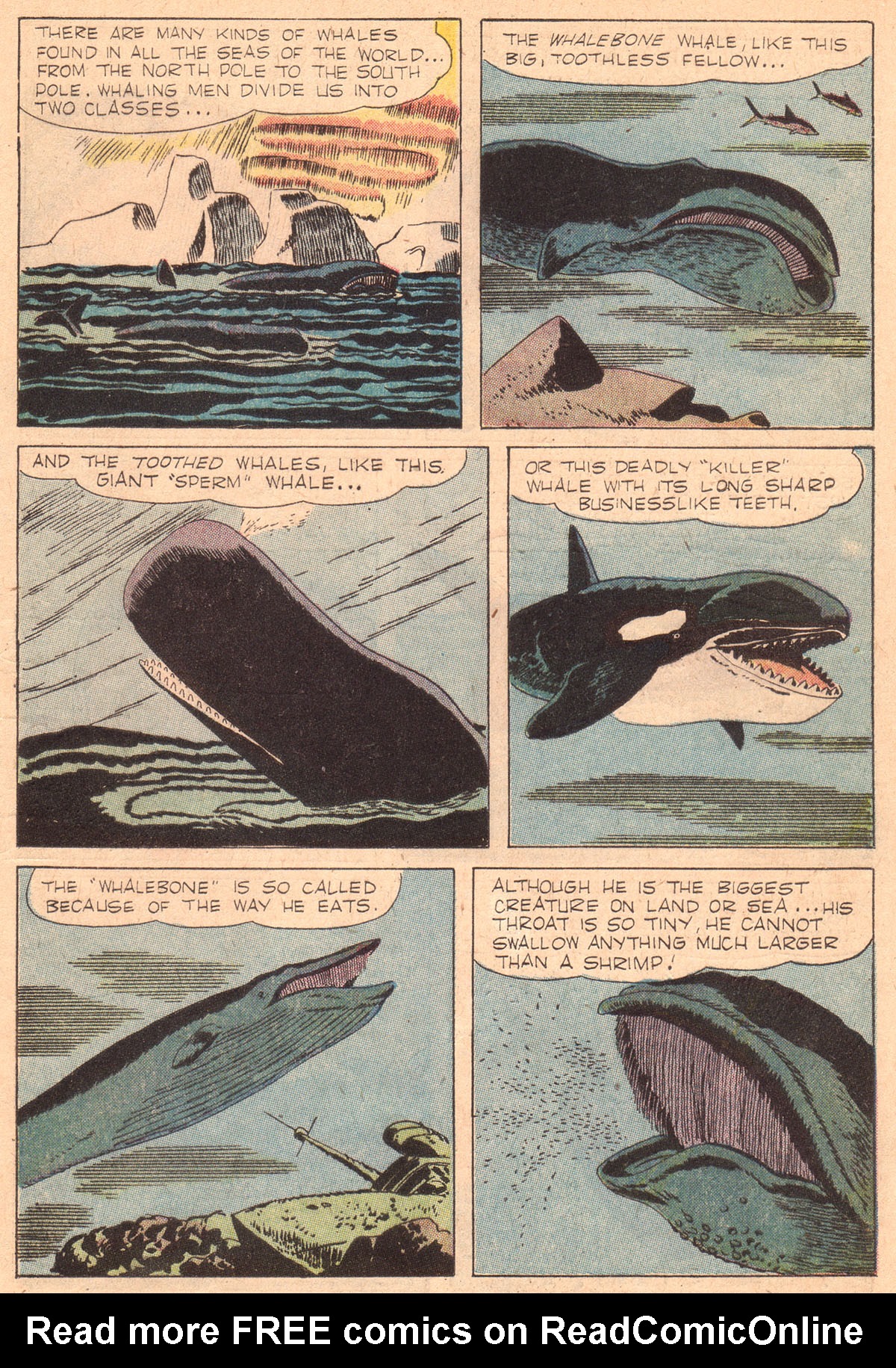 Read online Four Color Comics comic -  Issue #842 - 6