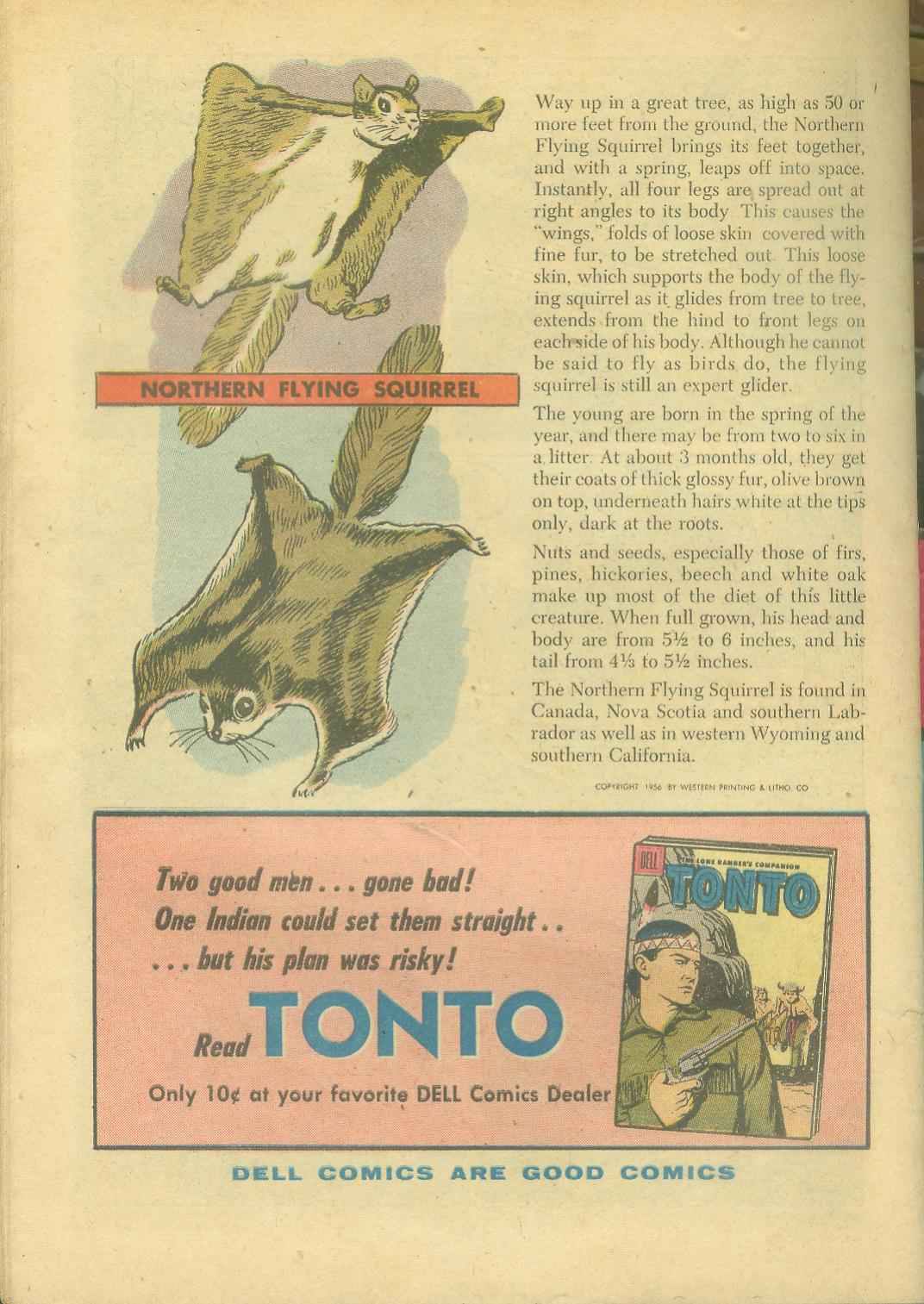 Read online The Lone Ranger (1948) comic -  Issue #101 - 34