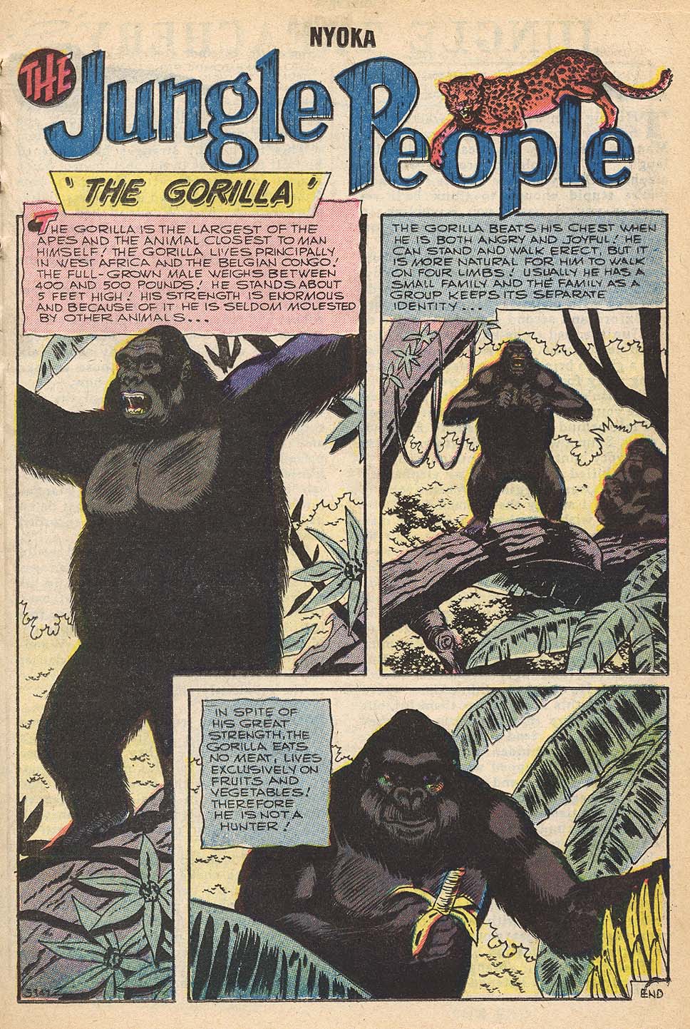 Read online Nyoka the Jungle Girl (1955) comic -  Issue #18 - 17
