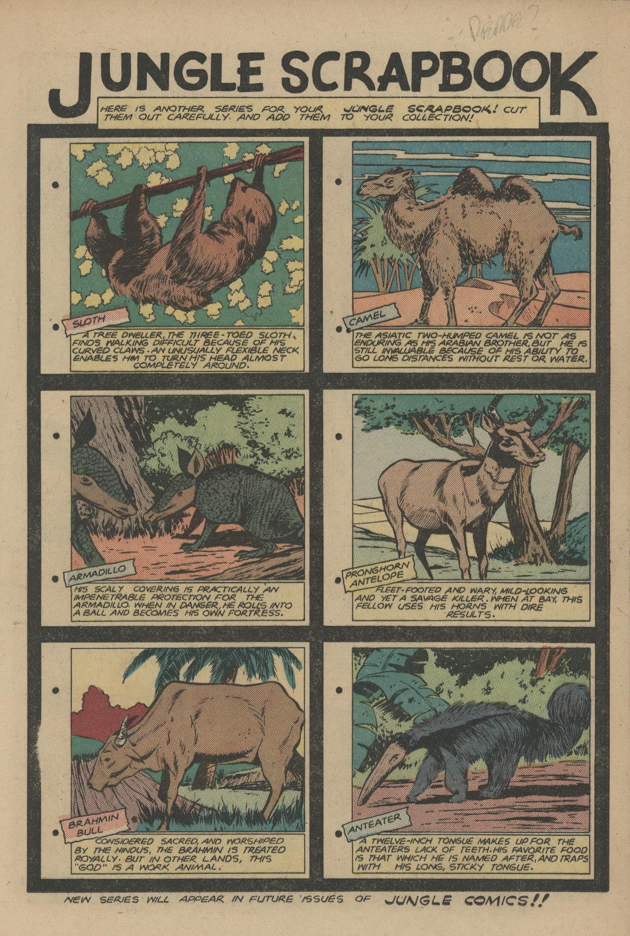 Read online Jungle Comics comic -  Issue #109 - 19
