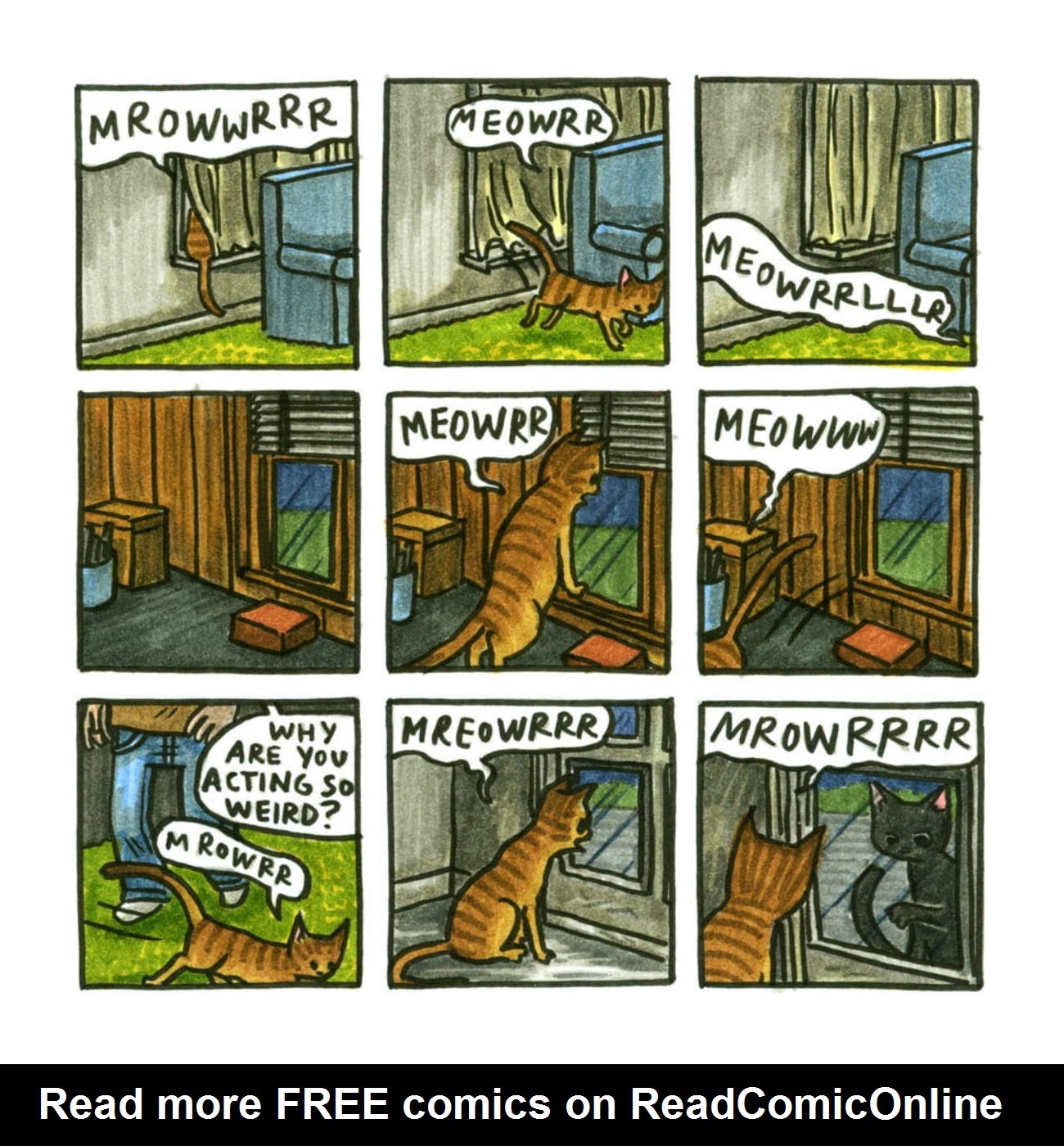 Read online Cats are Weird and More Observations comic -  Issue # TPB - 48