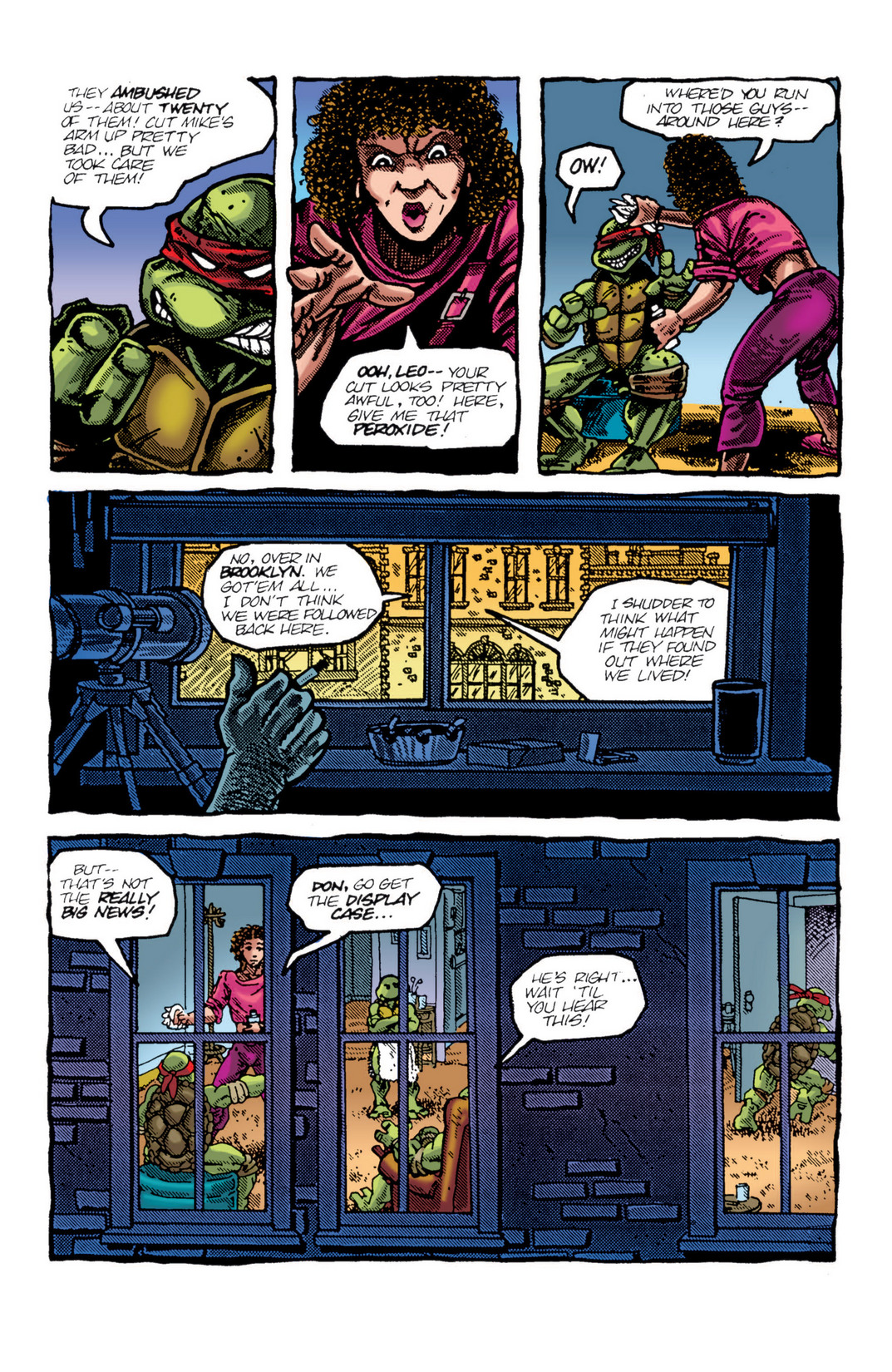 Read online Teenage Mutant Ninja Turtles Color Classics (2012) comic -  Issue #4 - 19