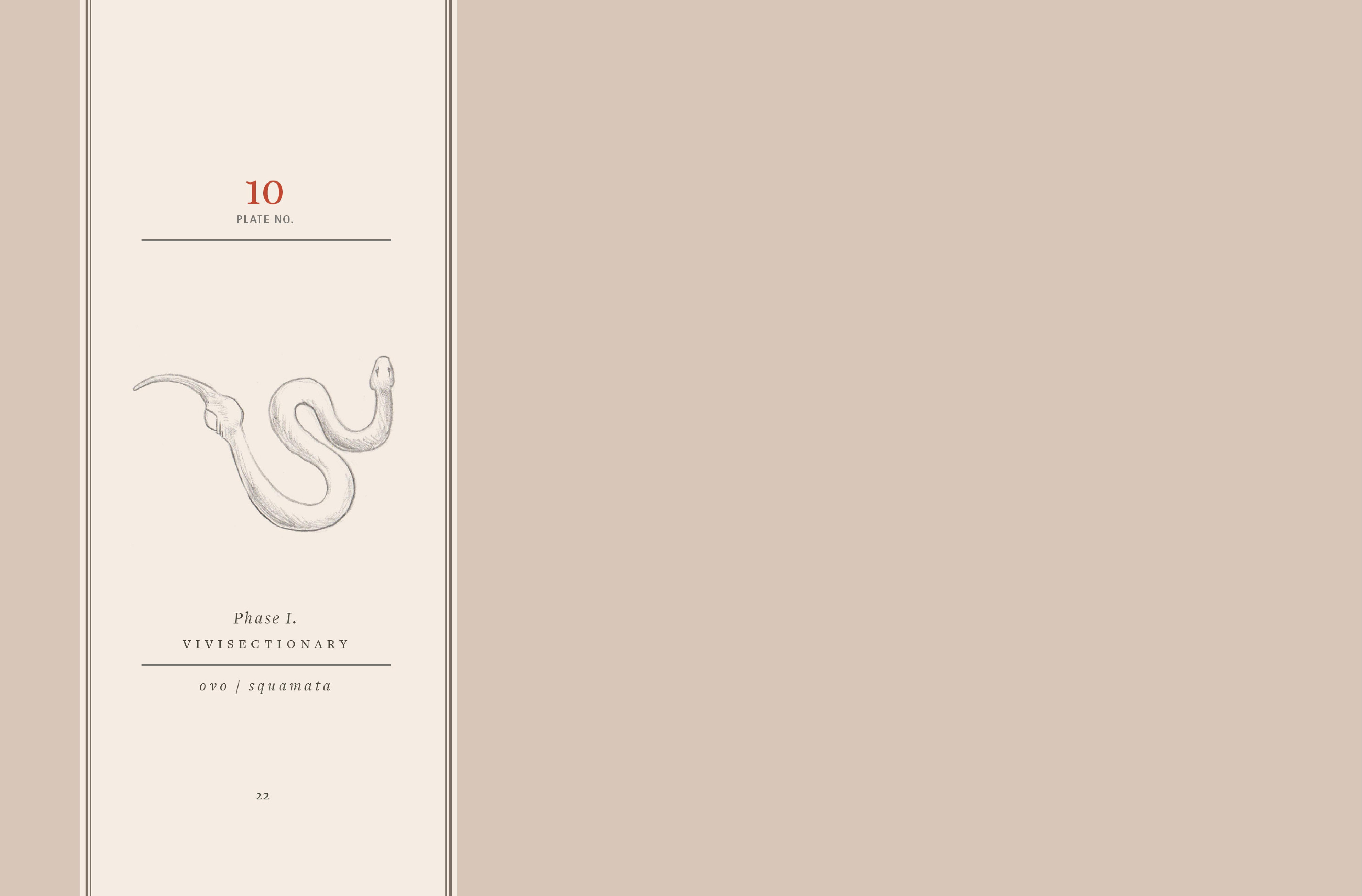 Read online Vivisectionary comic -  Issue # TPB - 23