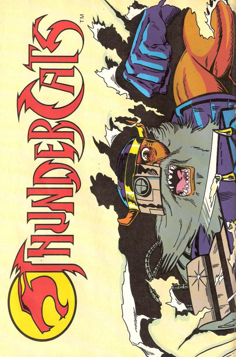 Read online ThunderCats (1987) comic -  Issue #15 - 12