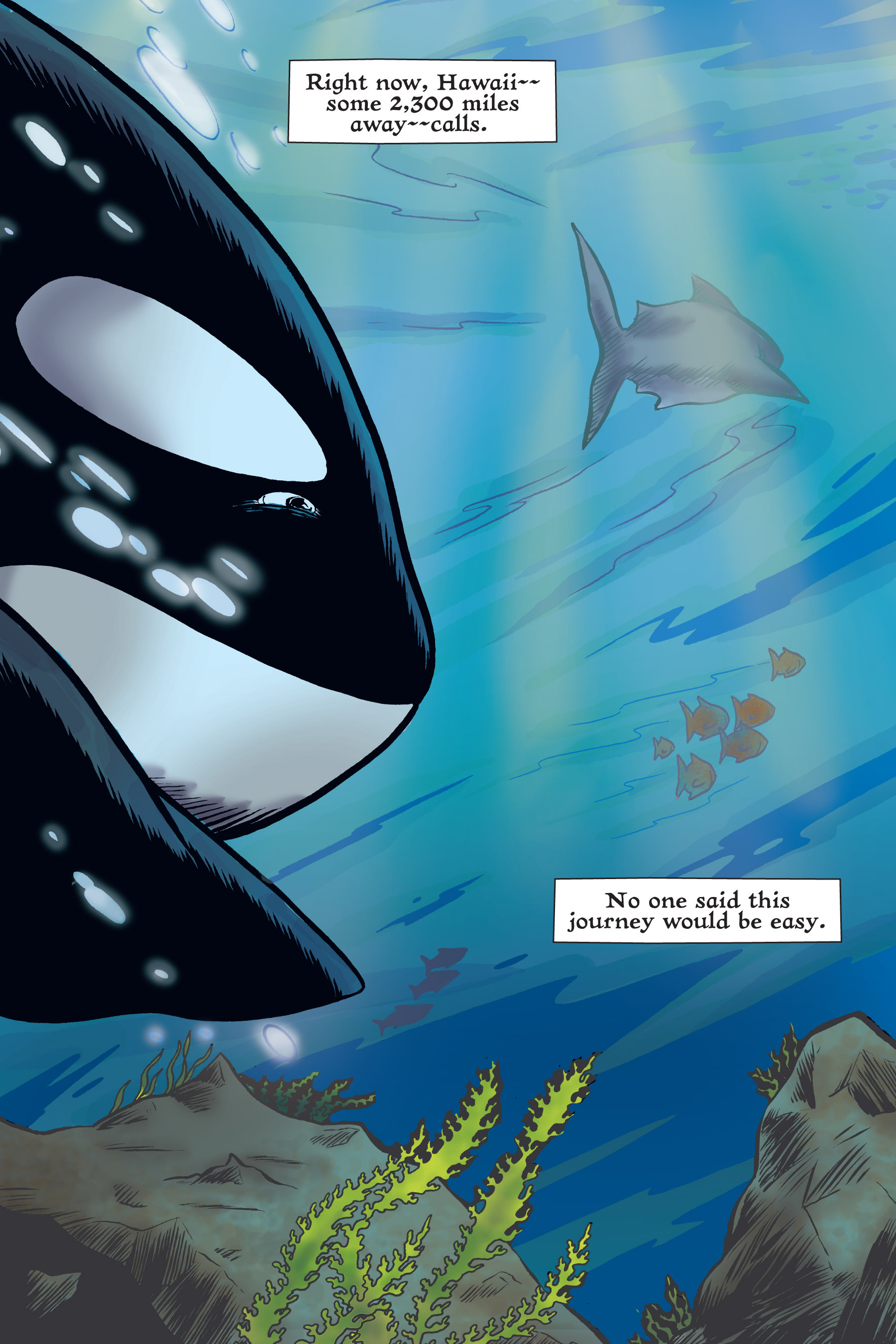 Read online Xoc: Journey of a Great White comic -  Issue # TPB - 40