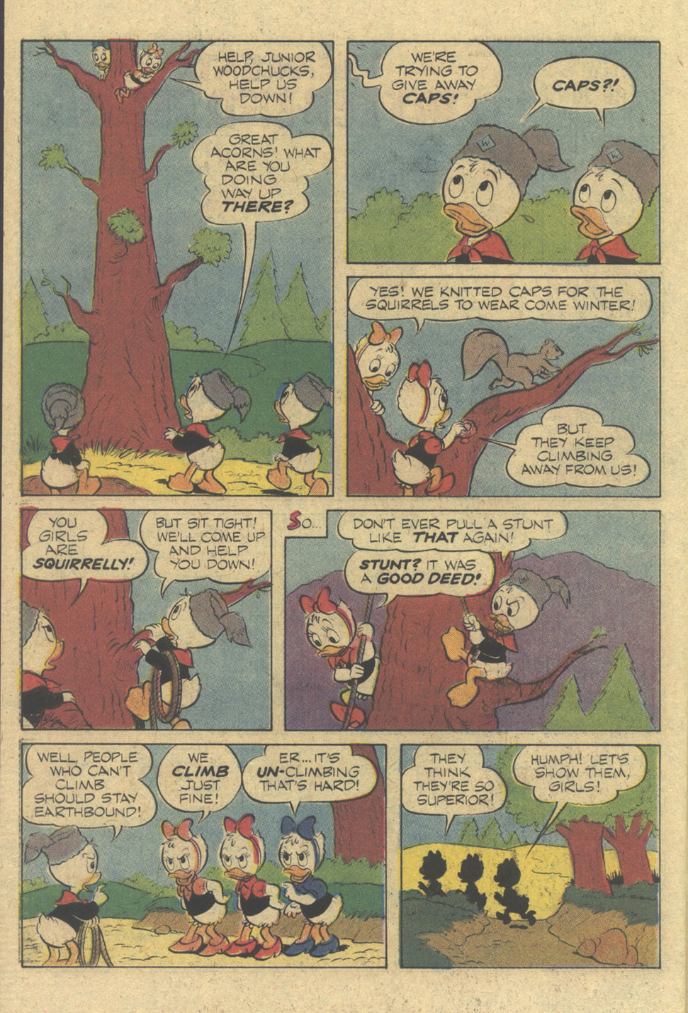 Read online Huey, Dewey, and Louie Junior Woodchucks comic -  Issue #47 - 26