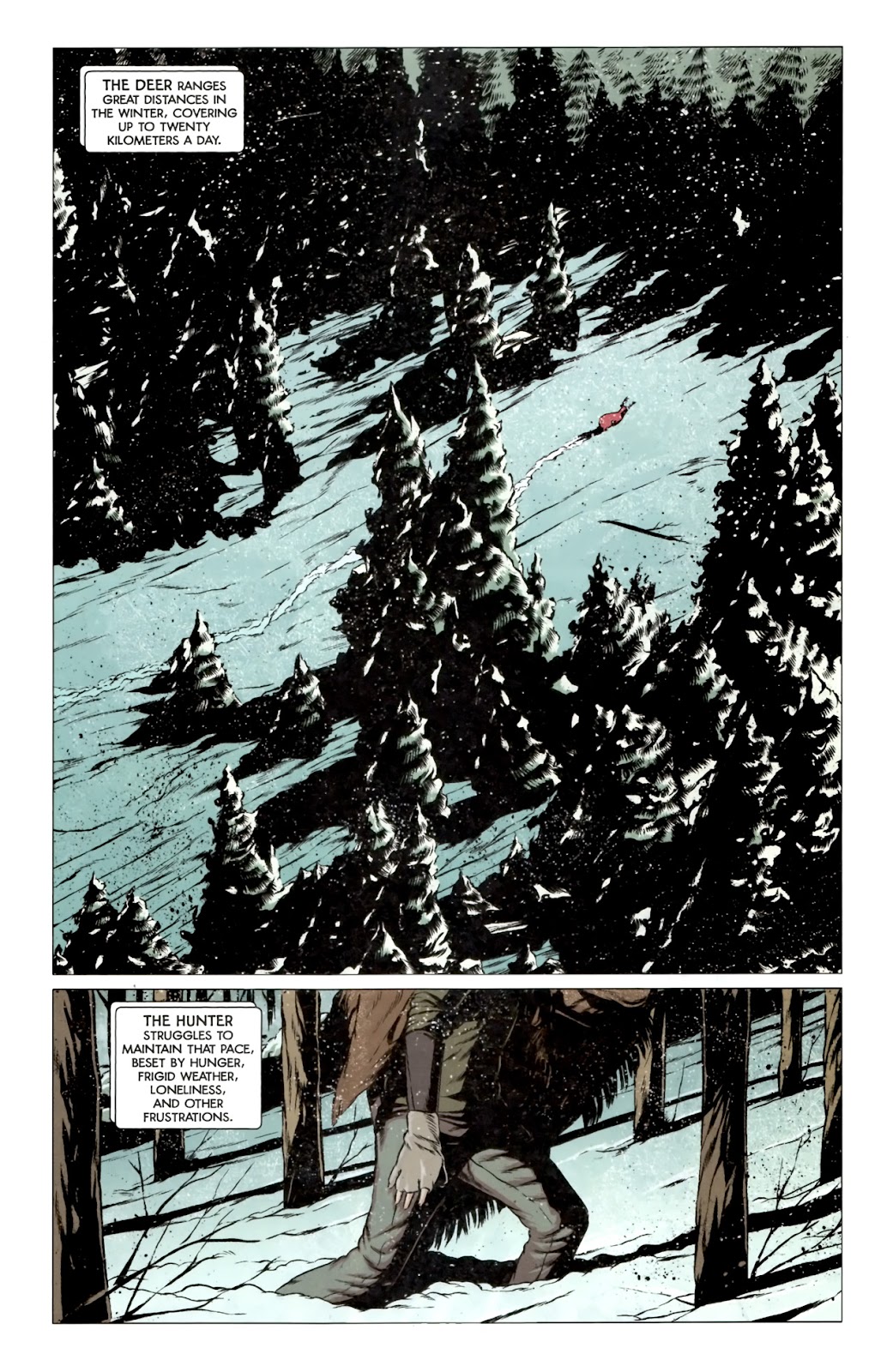 Northlanders issue 40 - Page 2