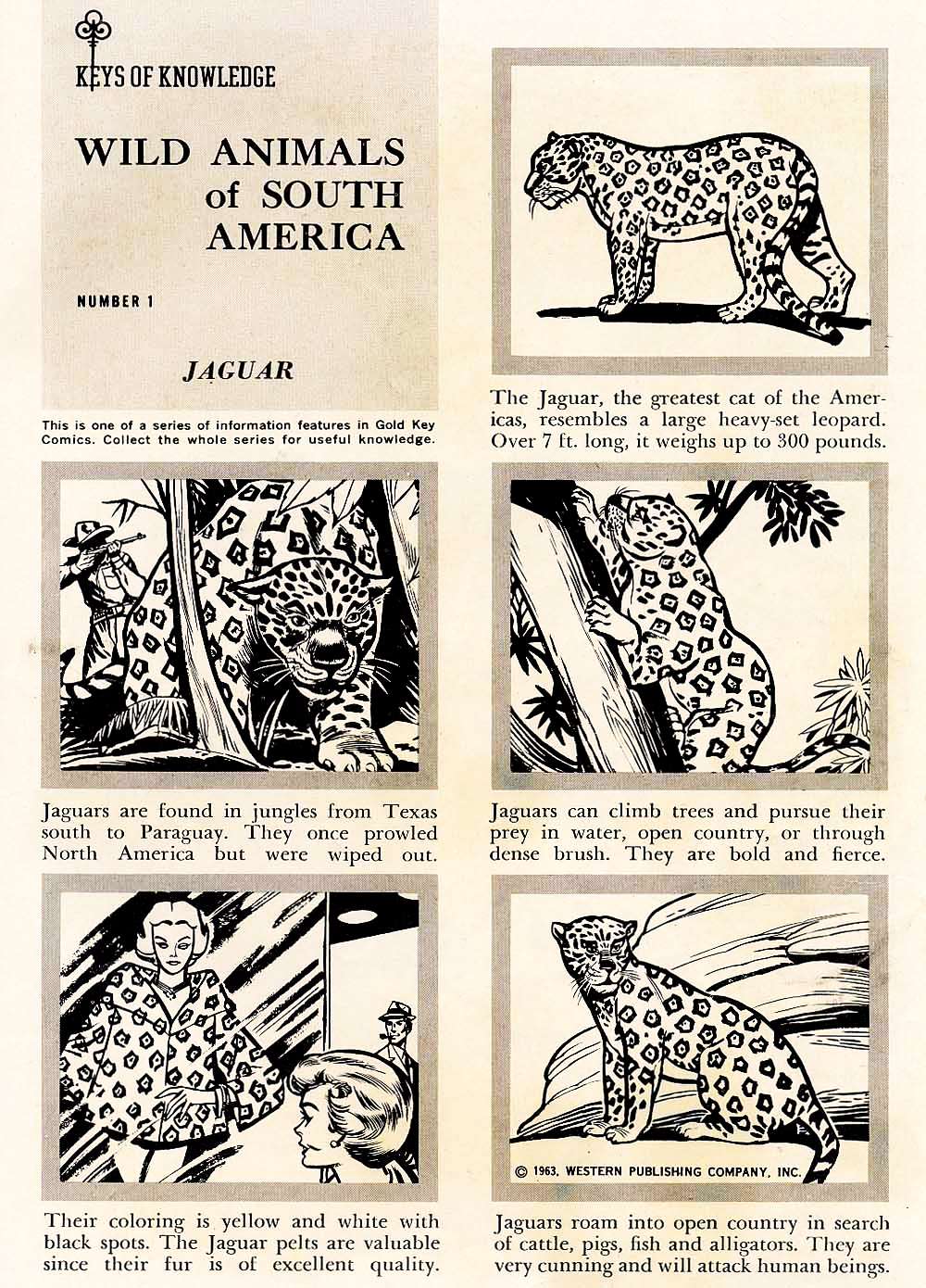 Read online Tarzan (1962) comic -  Issue #137 - 35