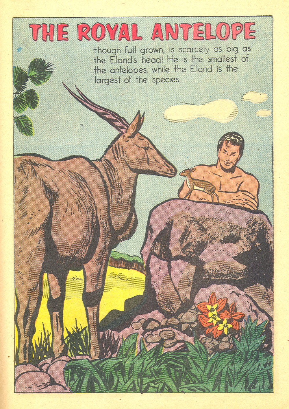 Read online Tarzan (1948) comic -  Issue #70 - 27