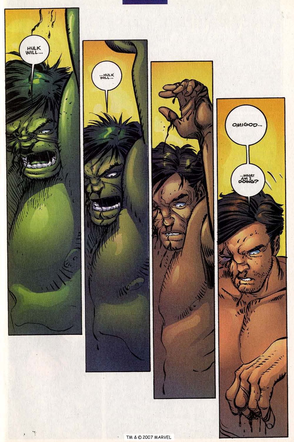 The Incredible Hulk (2000) Issue #25 #14 - English 43