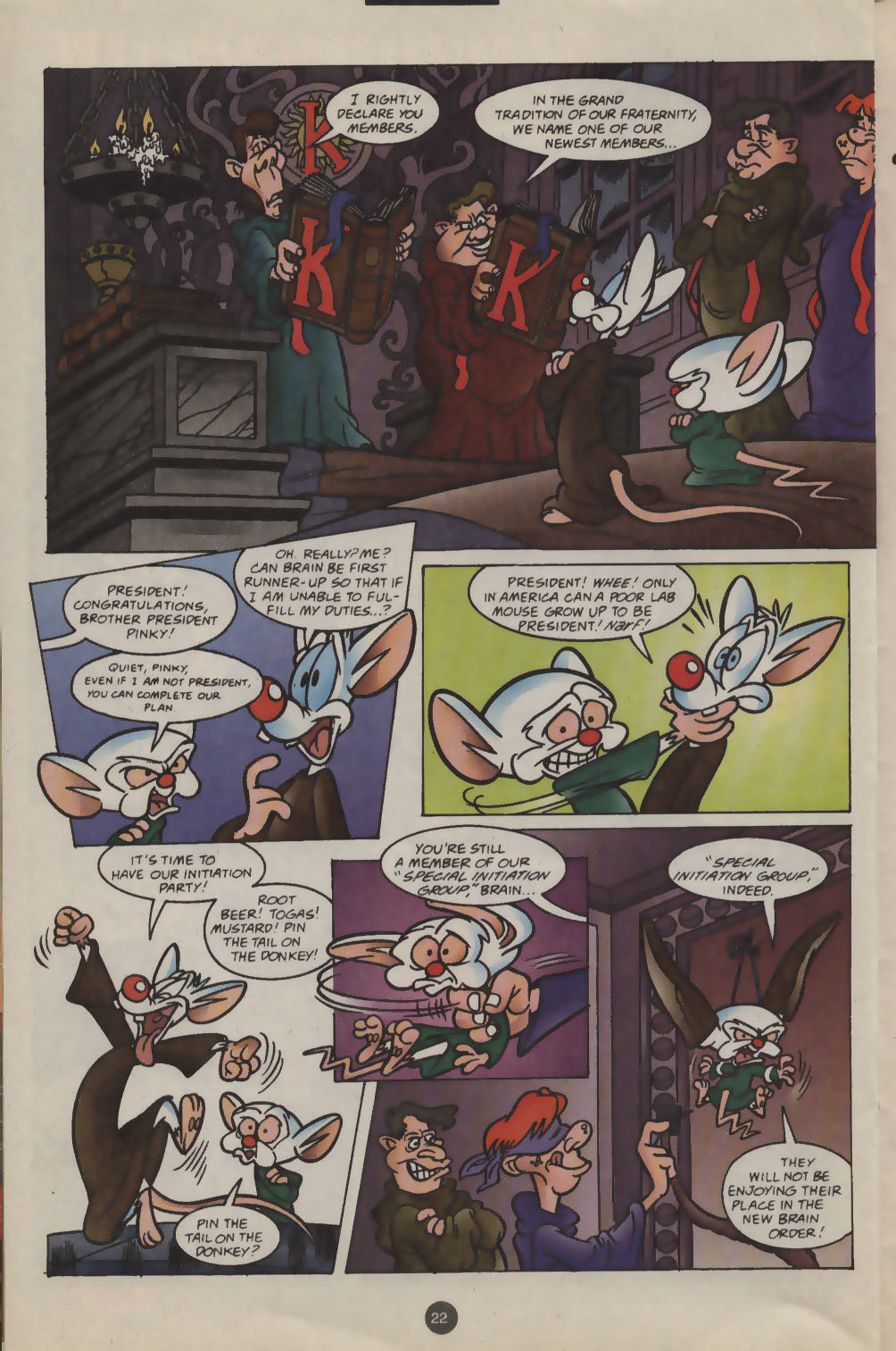 Pinky and The Brain issue 9 - Page 17