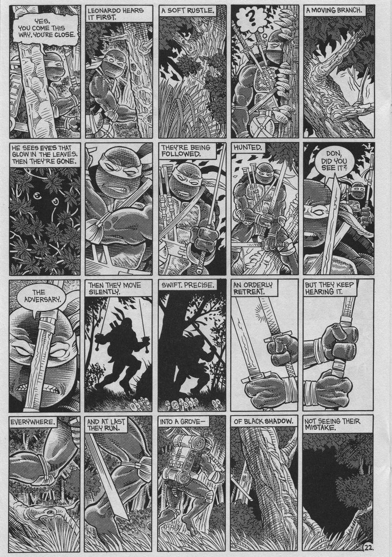 Read online Teenage Mutant Ninja Turtles (1984) comic -  Issue #37 - 22