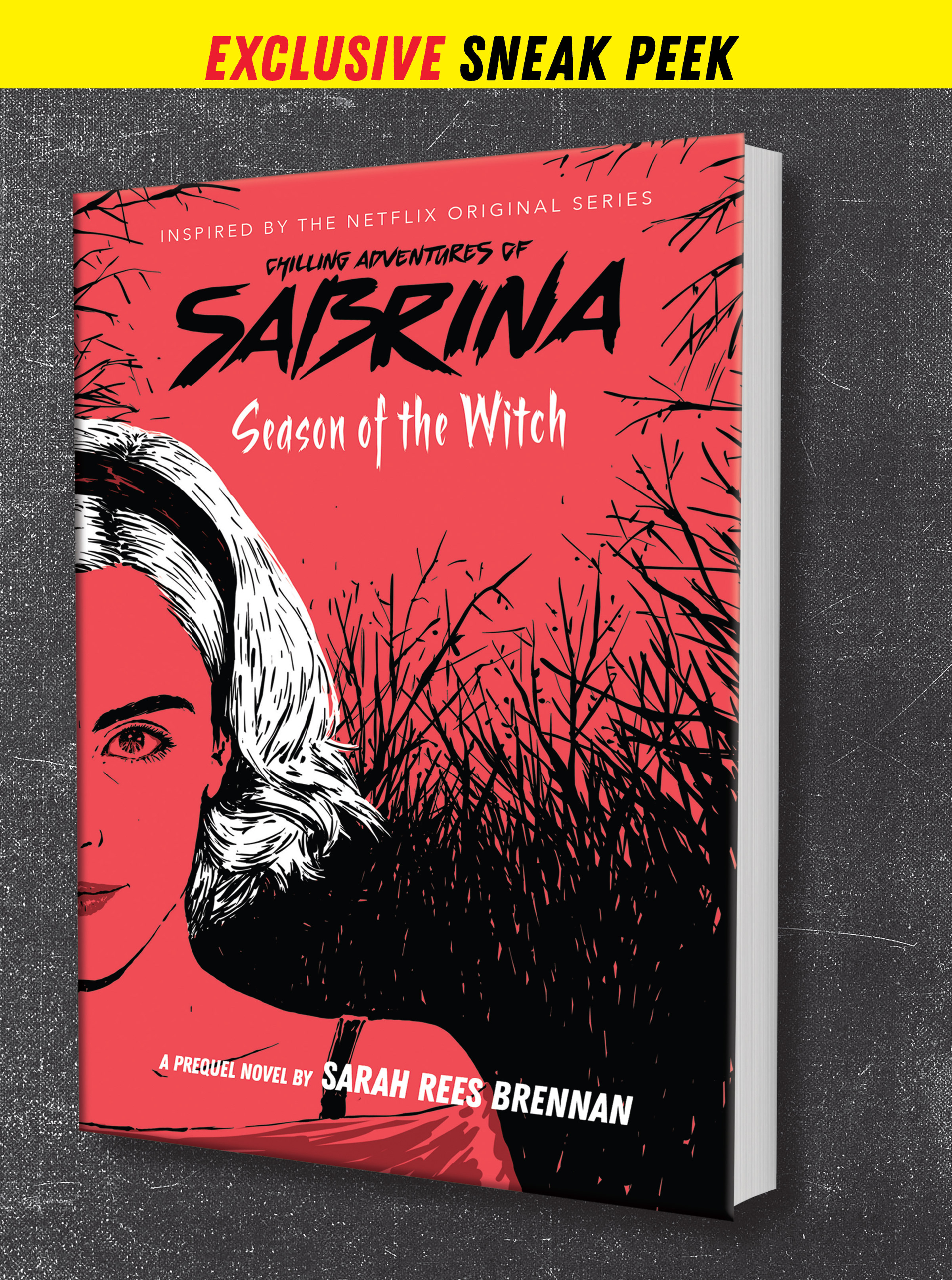 Read online Sabrina Super Special comic -  Issue # TPB - 115