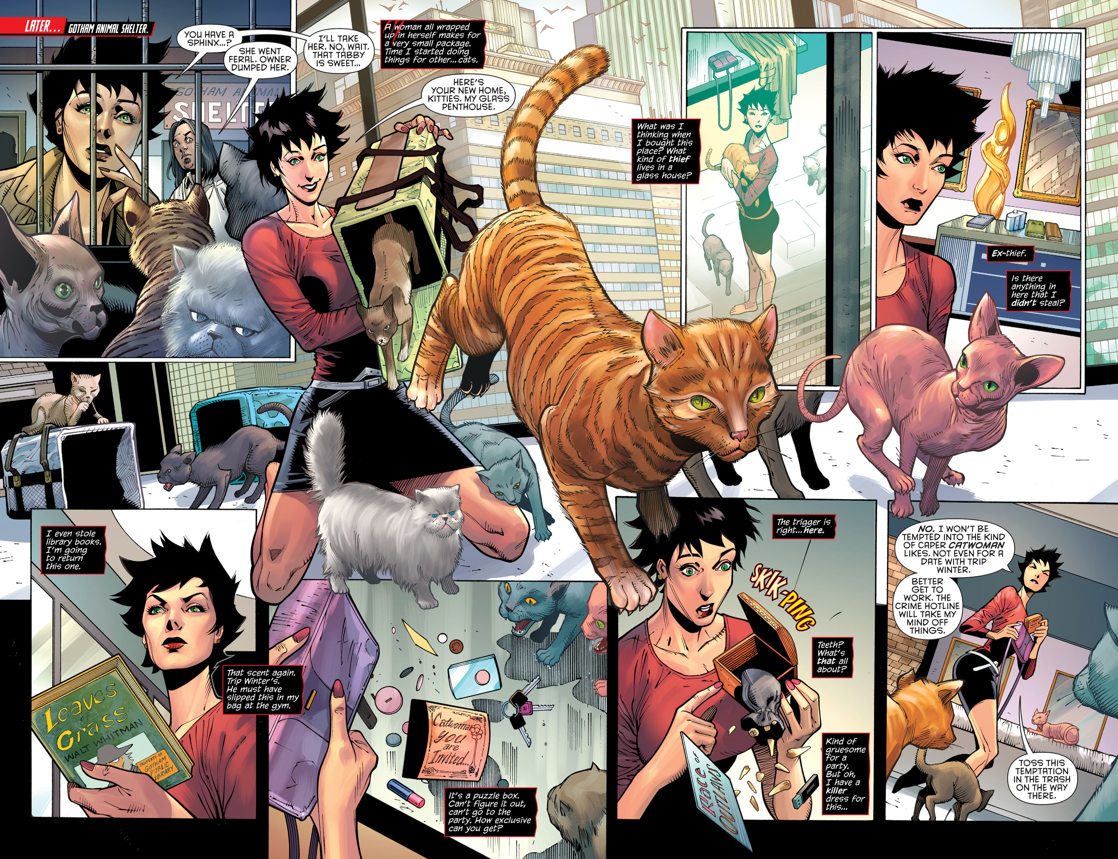 Read online Catwoman (2011) comic -  Issue #30 - 5
