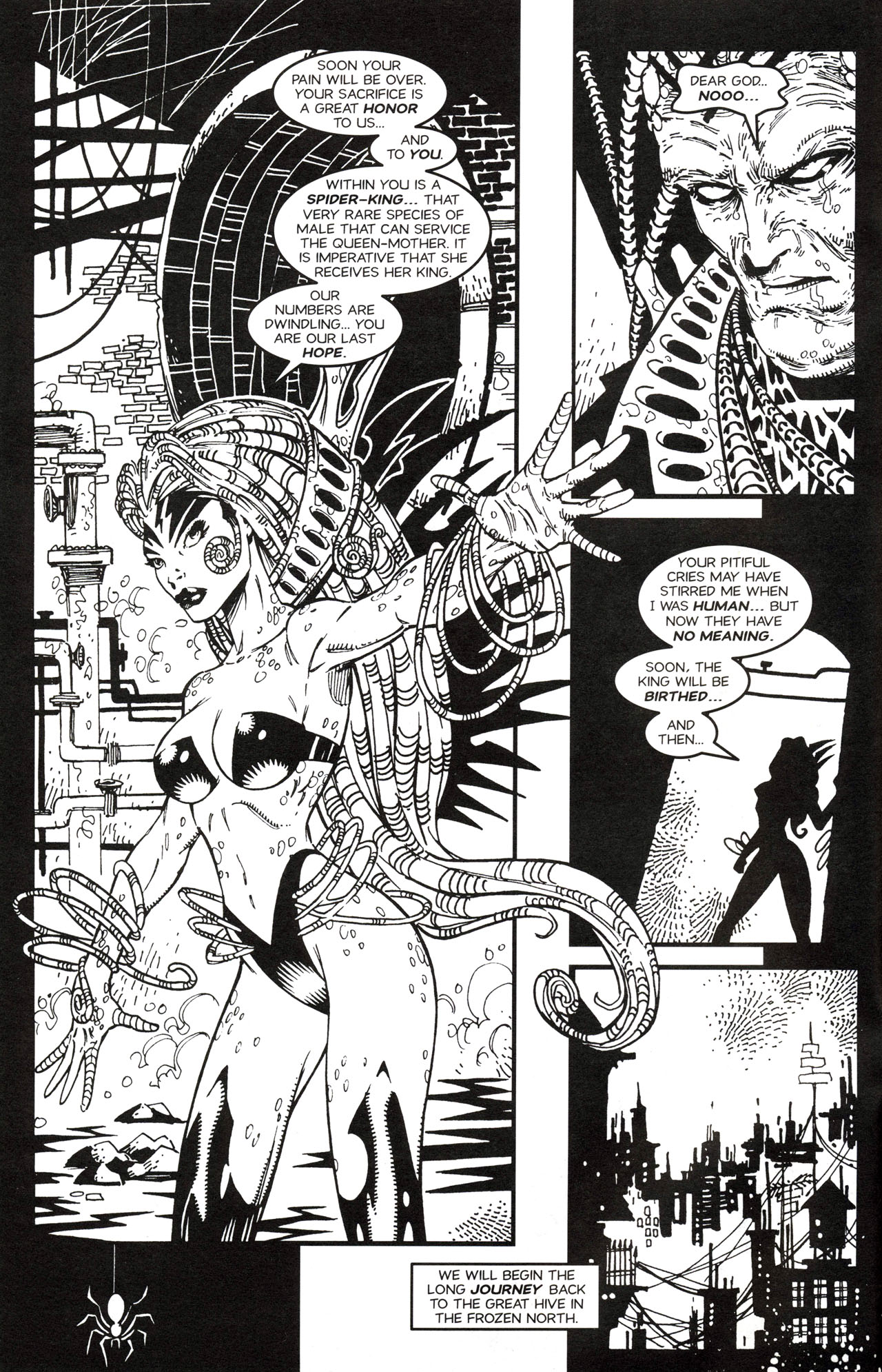 Read online Webwitch (1997) comic -  Issue #2 - 4