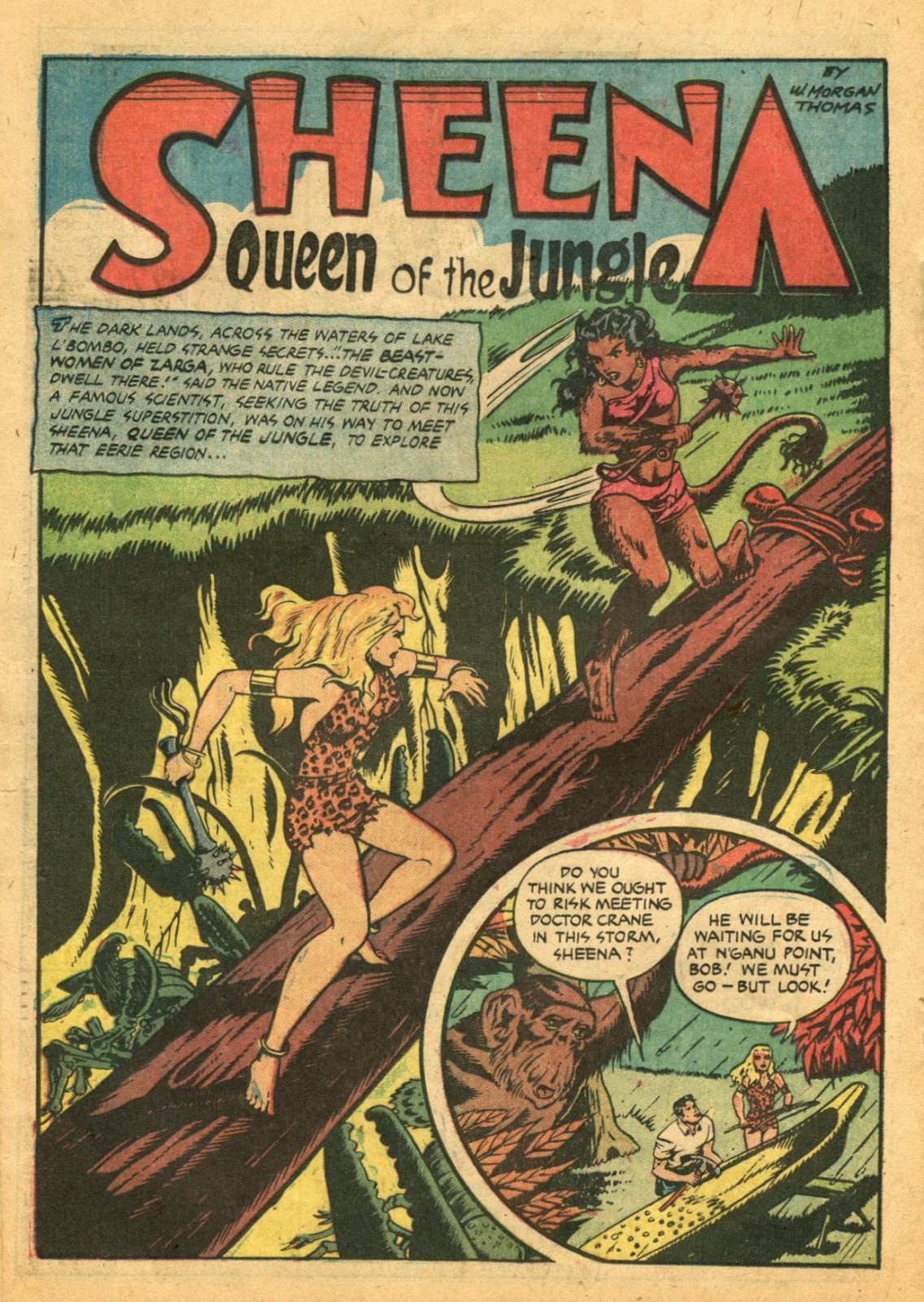 Sheena, Queen of the Jungle (1942) issue 12 - Page 20