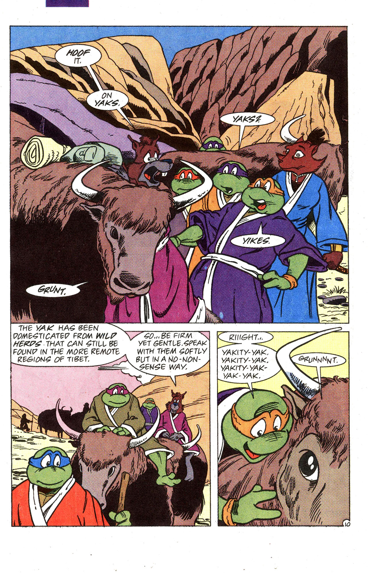 Read online Teenage Mutant Ninja Turtles Adventures (1989) comic -  Issue #33 - 12