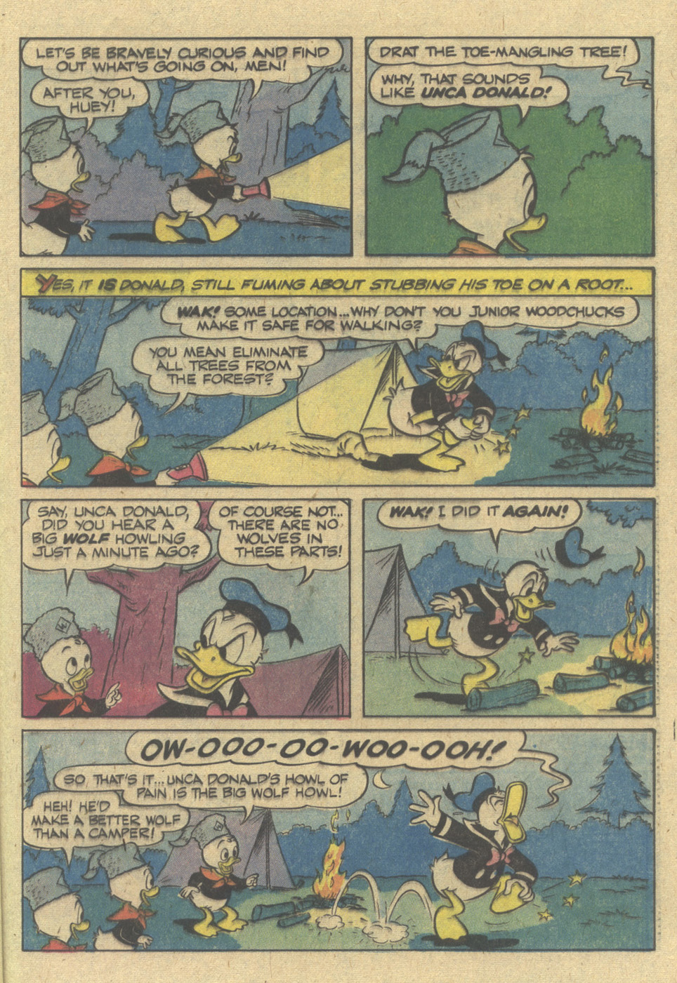 Read online Huey, Dewey, and Louie Junior Woodchucks comic -  Issue #52 - 25