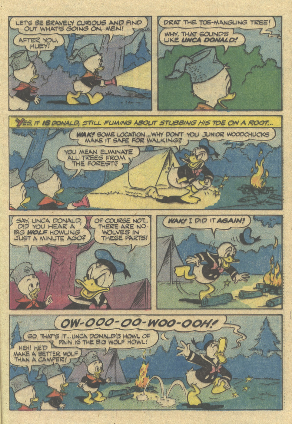 Huey, Dewey, and Louie Junior Woodchucks issue 52 - Page 25