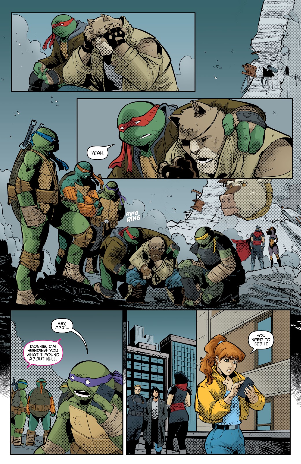 Teenage Mutant Ninja Turtles (2011) issue 138 - Page 20