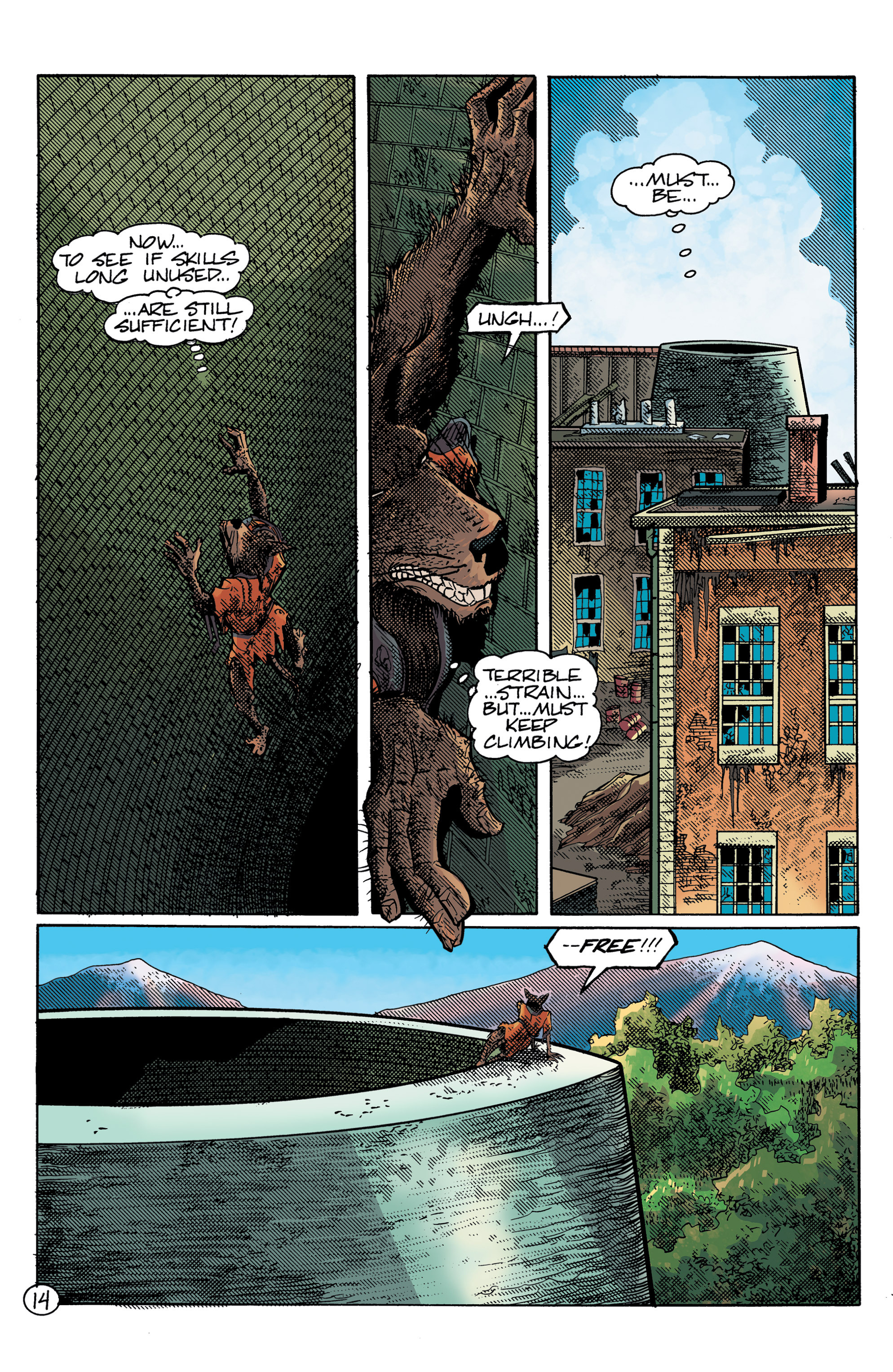 Read online Teenage Mutant Ninja Turtles Color Classics (2015) comic -  Issue #12 - 16