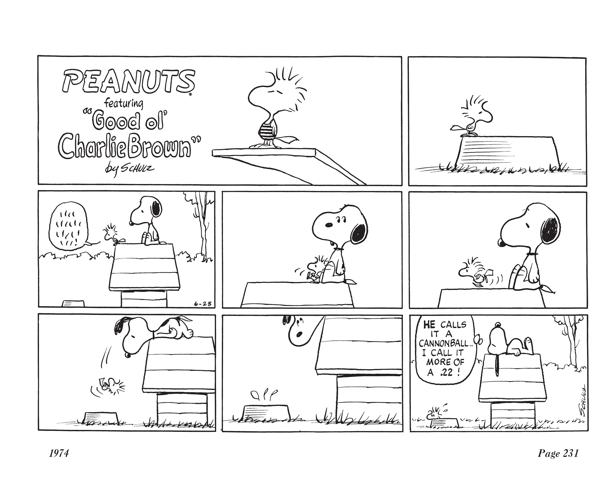 Read online The Complete Peanuts comic -  Issue # TPB 12 - 245