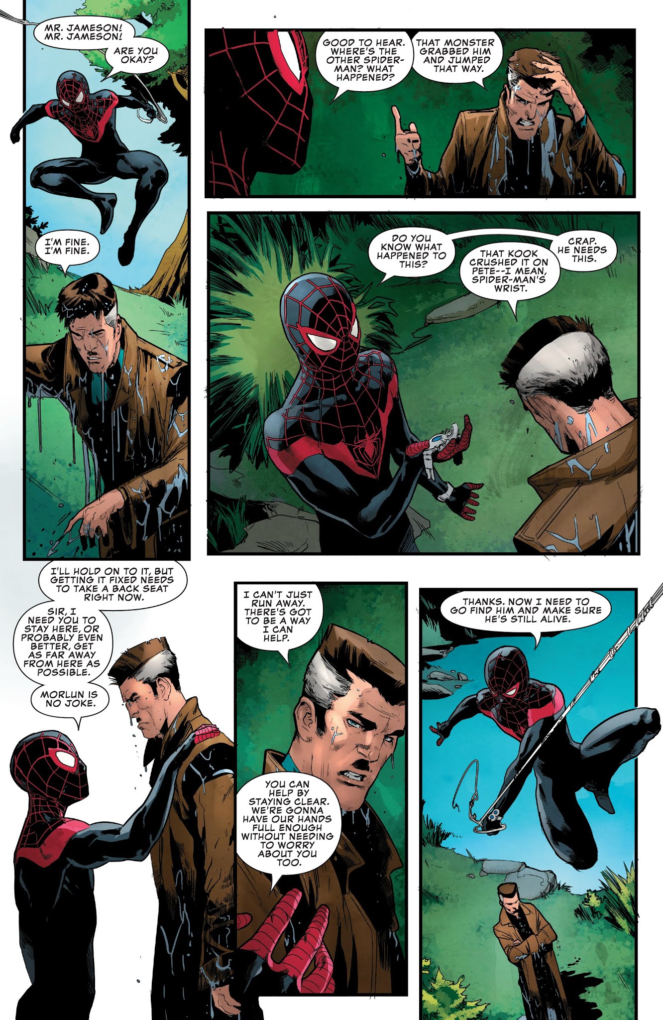 Read online Peter Parker: The Spectacular Spider-Man comic -  Issue #312 - 12