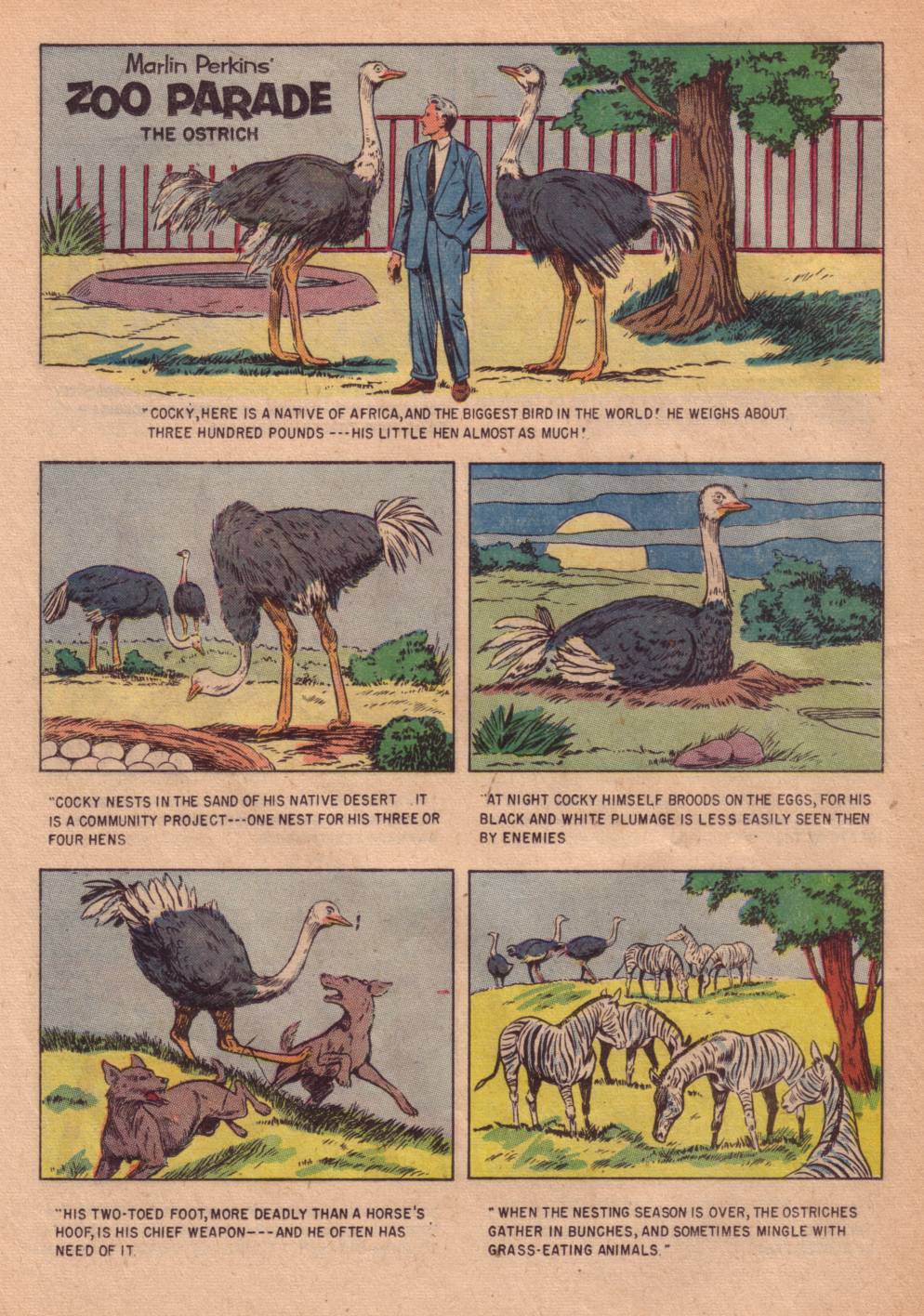 Read online Four Color Comics comic -  Issue #662 - 26