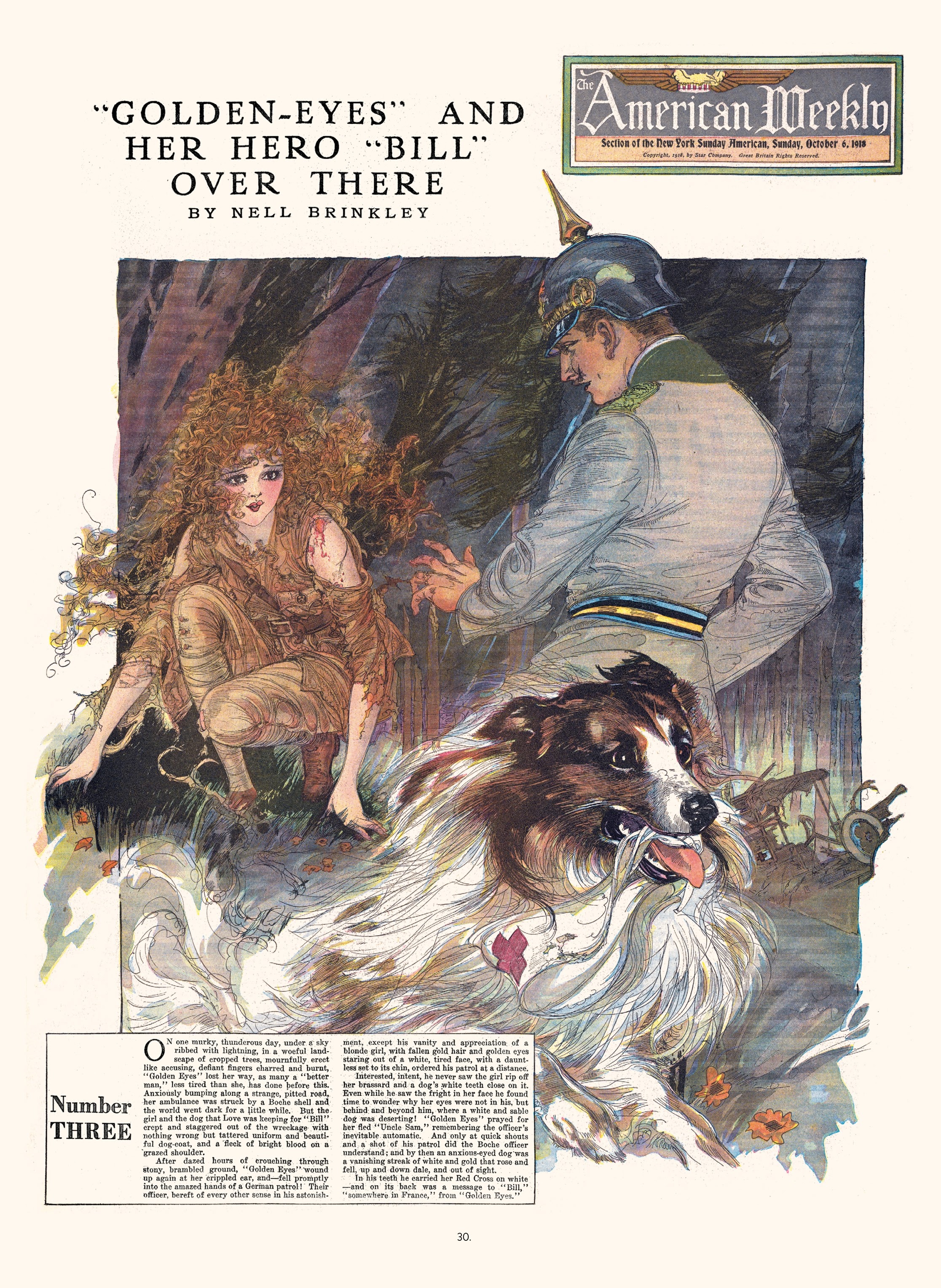Read online The Brinkley Girls: The Best of Nell Brinkley's Cartoons comic -  Issue # TPB - 30