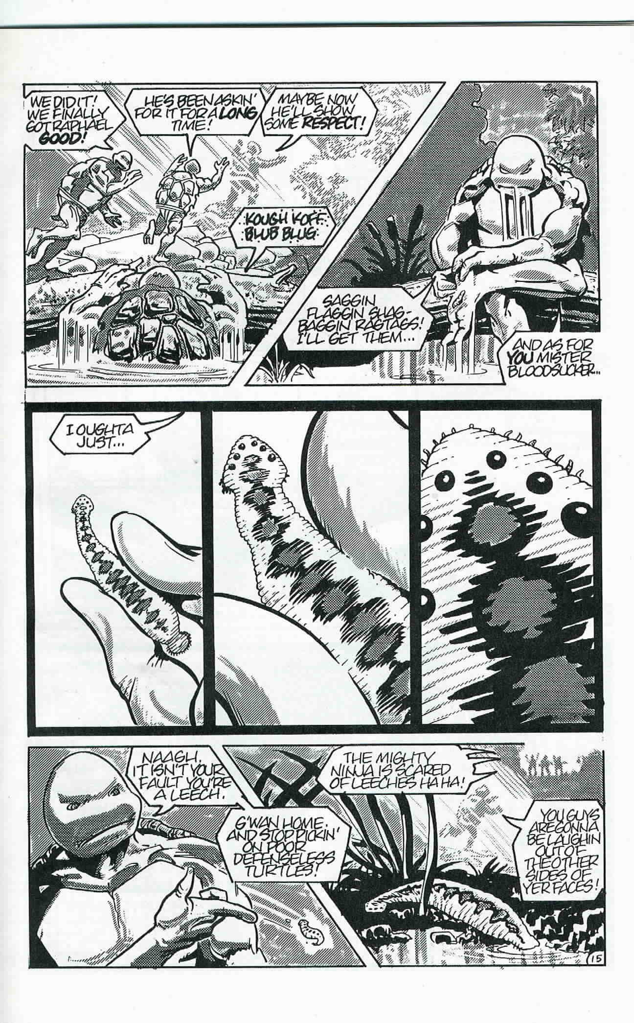 Teenage Mutant Ninja Turtles (1984) Issue #24 #24 - English 16