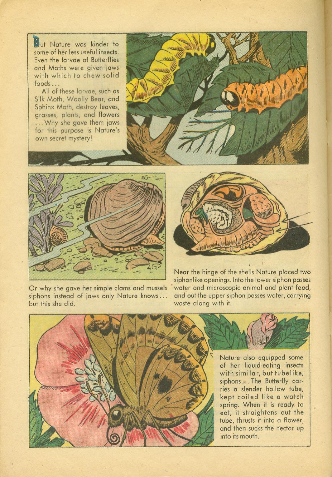 Read online Four Color Comics comic -  Issue #749 - 28