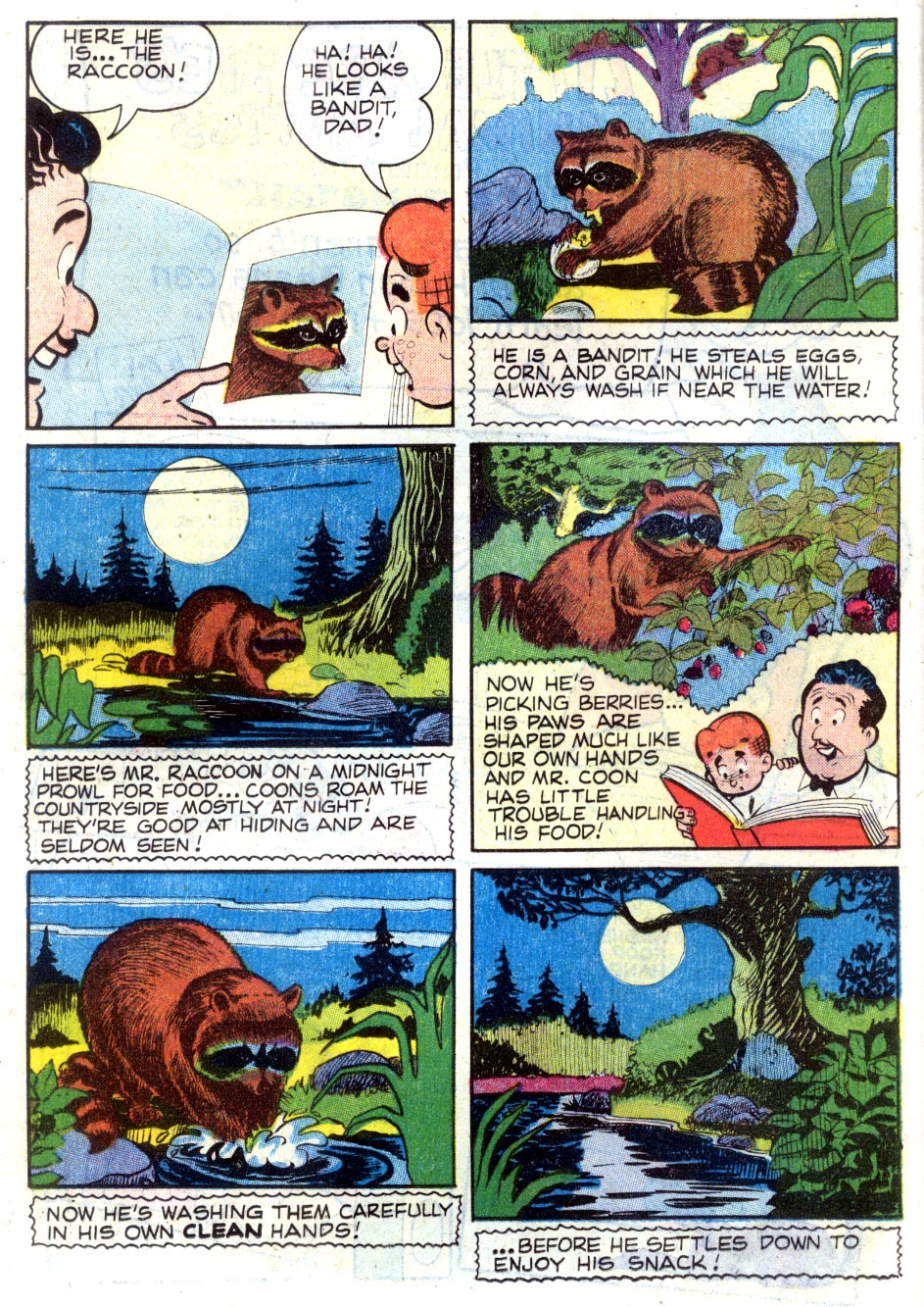 Read online Little Archie In Animal Land comic -  Issue #1 - 18