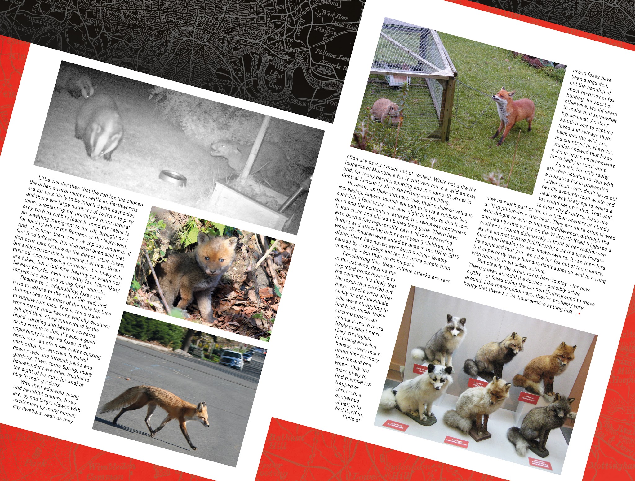 Read online Rivers of London: Cry Fox comic -  Issue #3 - 26