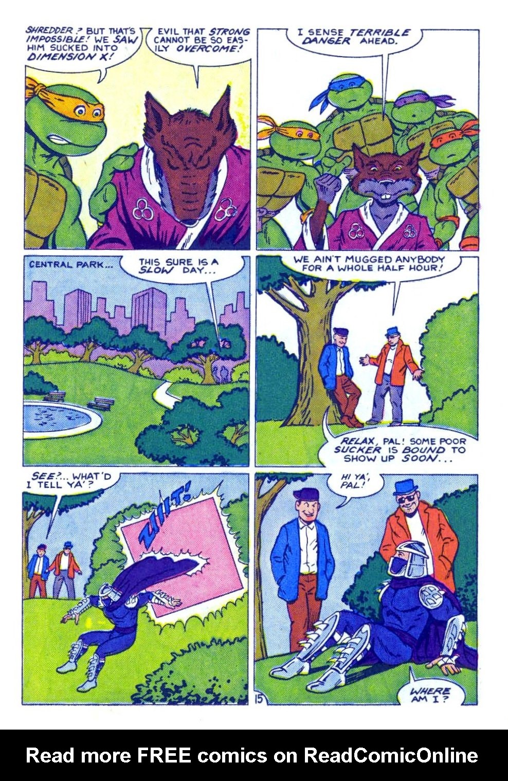 Read online Teenage Mutant Ninja Turtles Adventures (1989) comic -  Issue #1 - 17