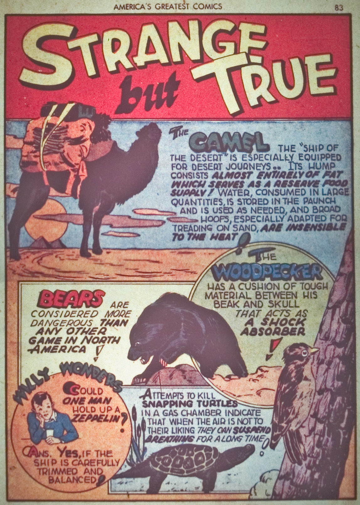 Read online America's Greatest Comics comic -  Issue #2 - 84