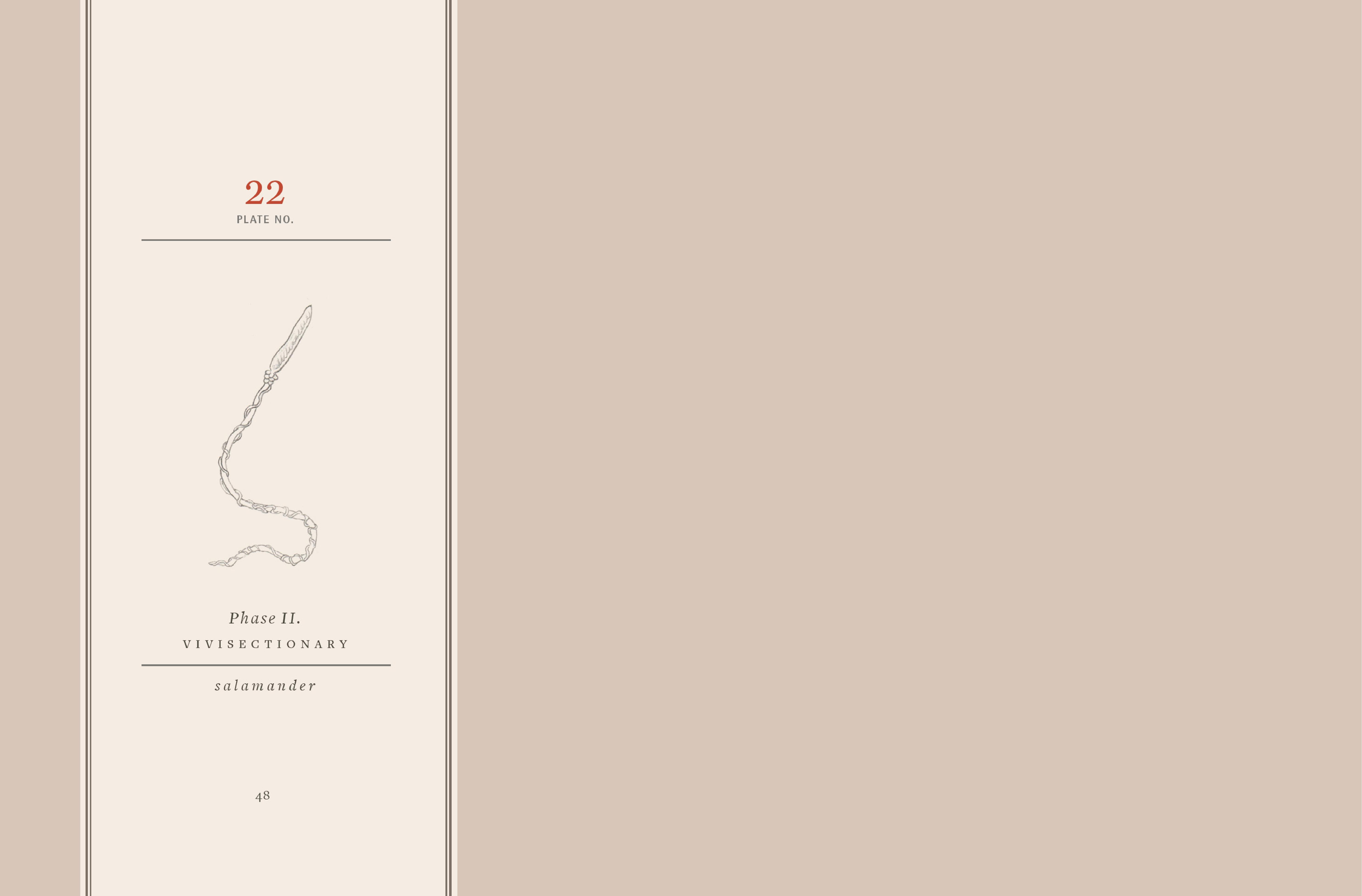 Read online Vivisectionary comic -  Issue # TPB - 49