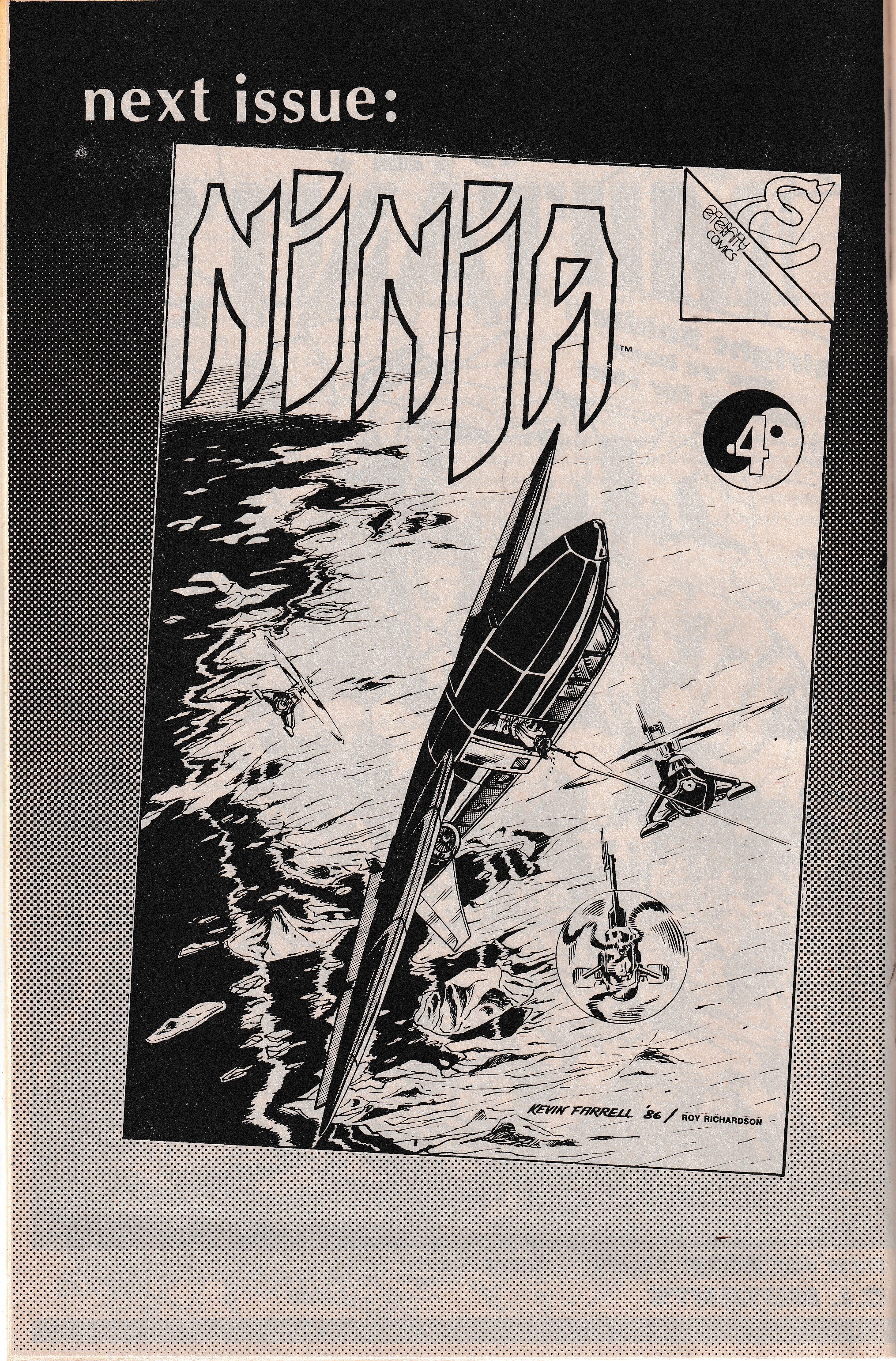 Read online Ninja comic -  Issue #3 - 29